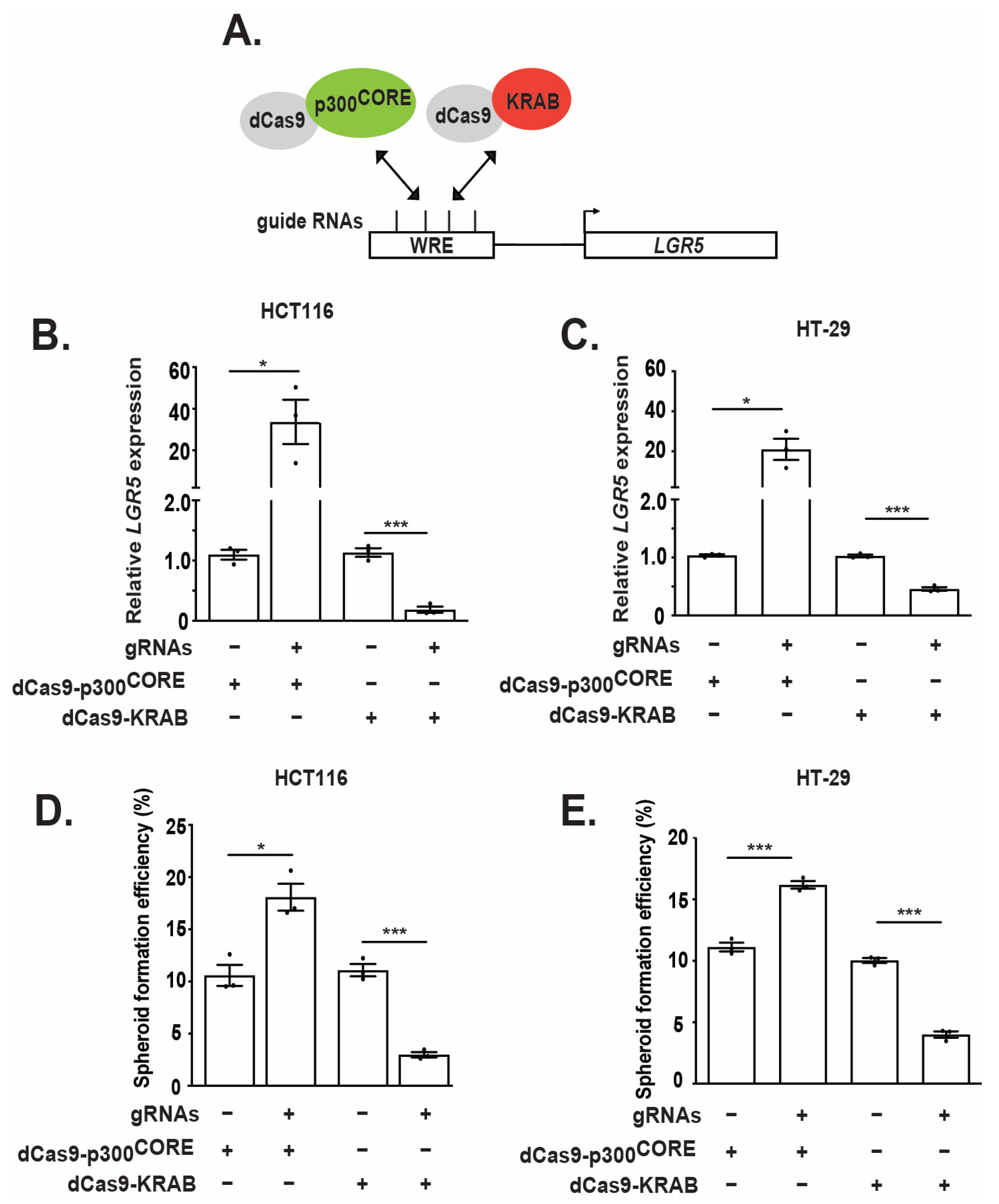 Genes 14 00481 g005 Genes 14 00481 g005