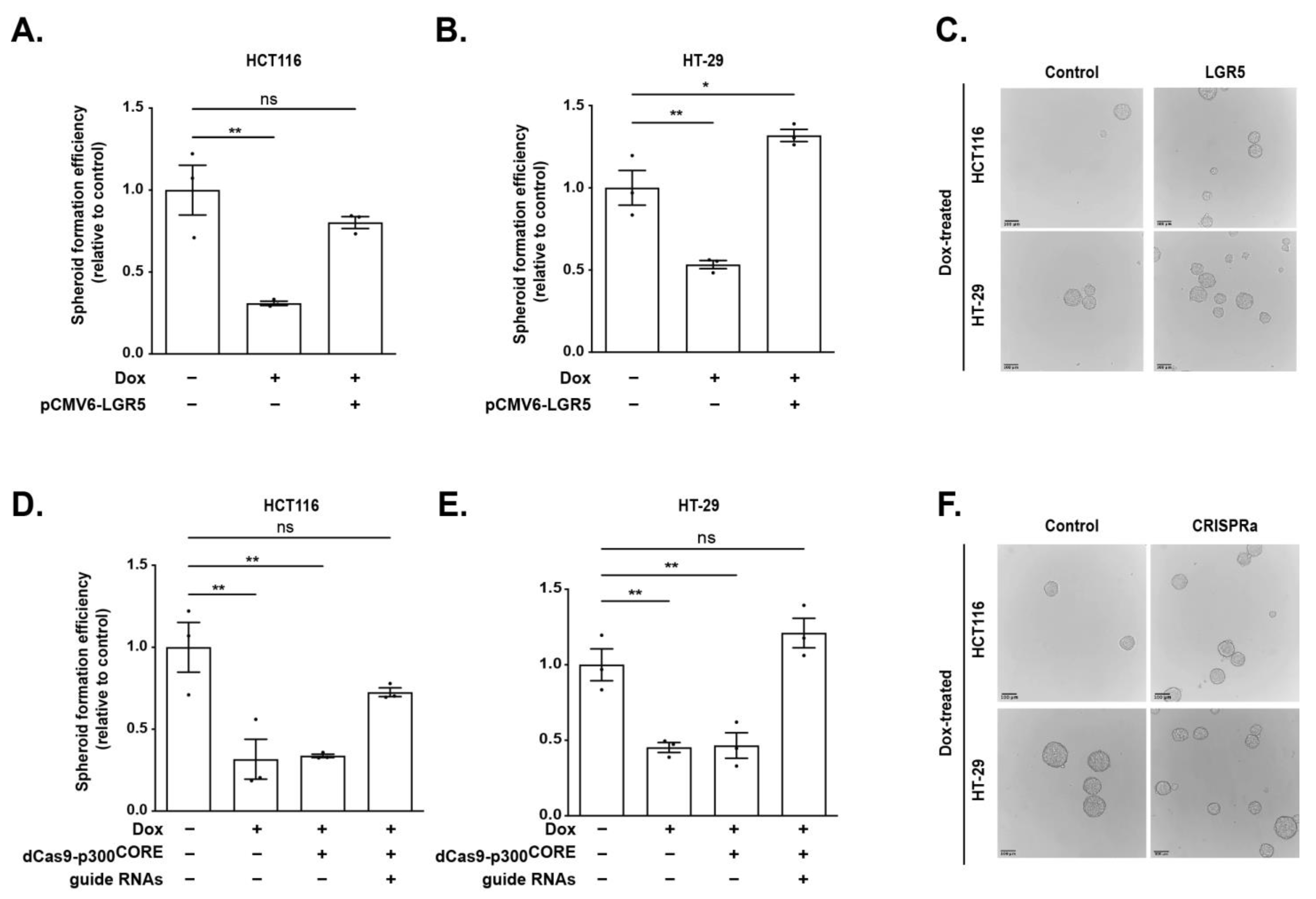 Genes 14 00481 g006 Genes 14 00481 g006