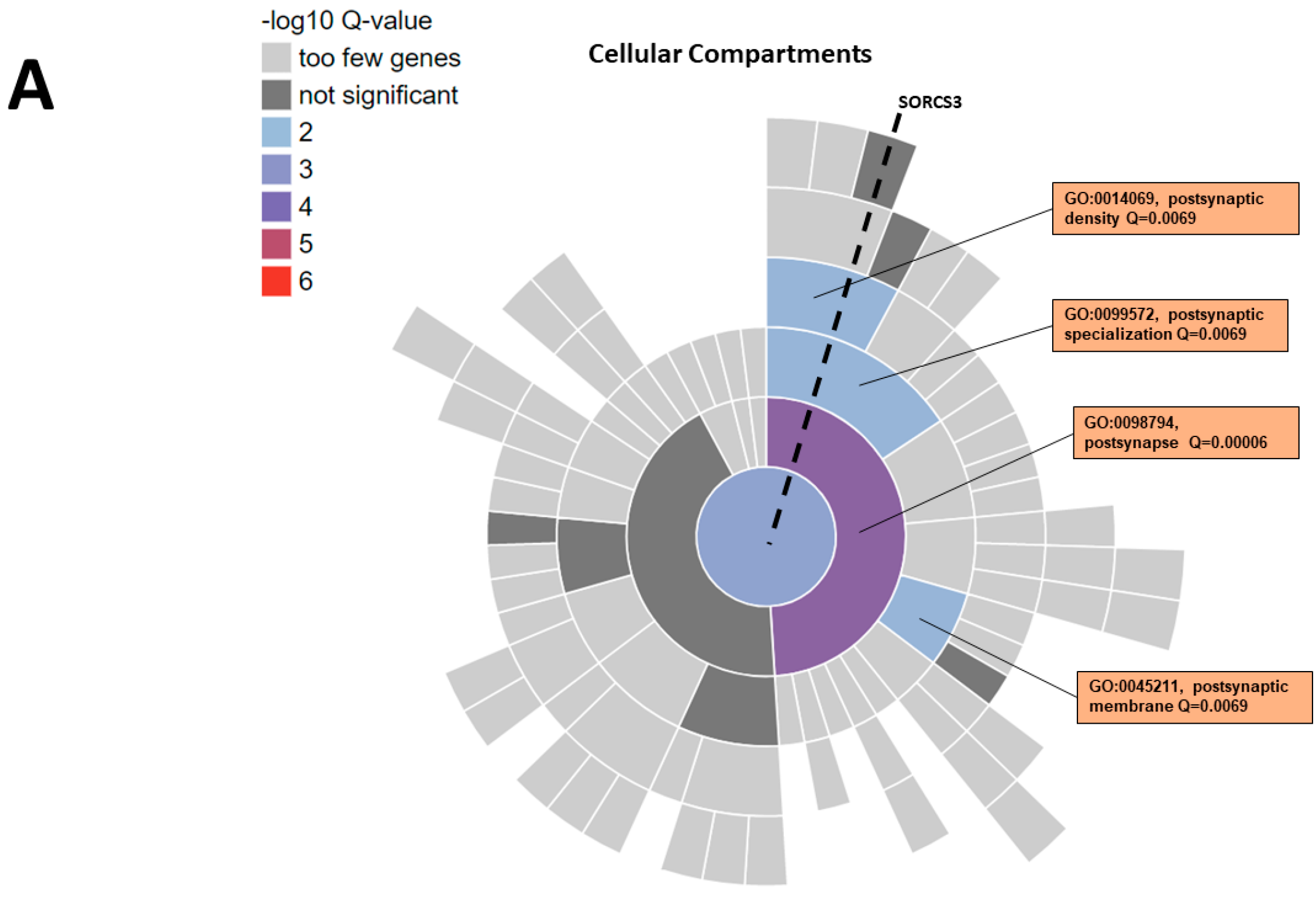 Genes 14 00482 g004a Genes 14 00482 g004a