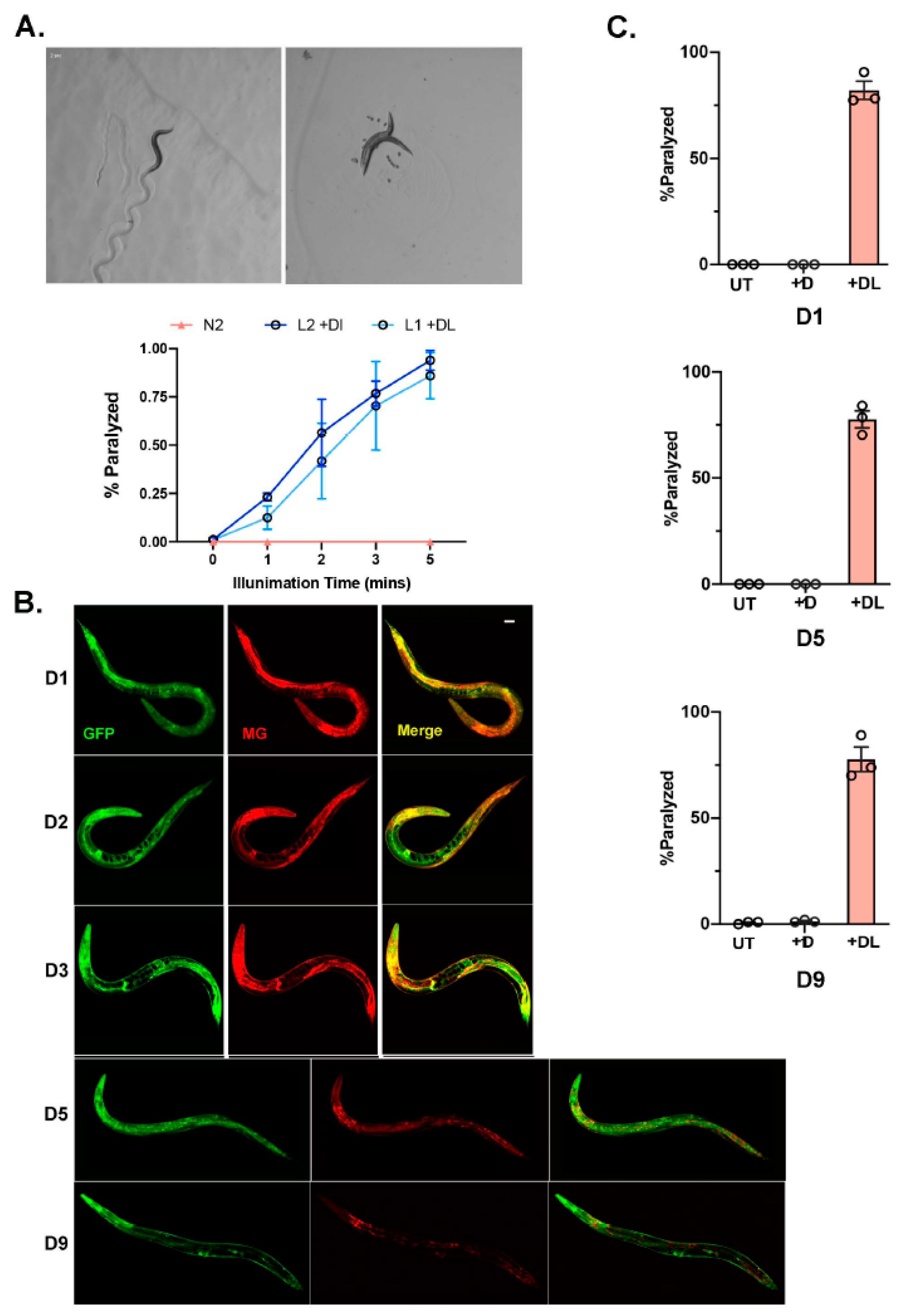 Genes 14 00485 g002 Genes 14 00485 g002