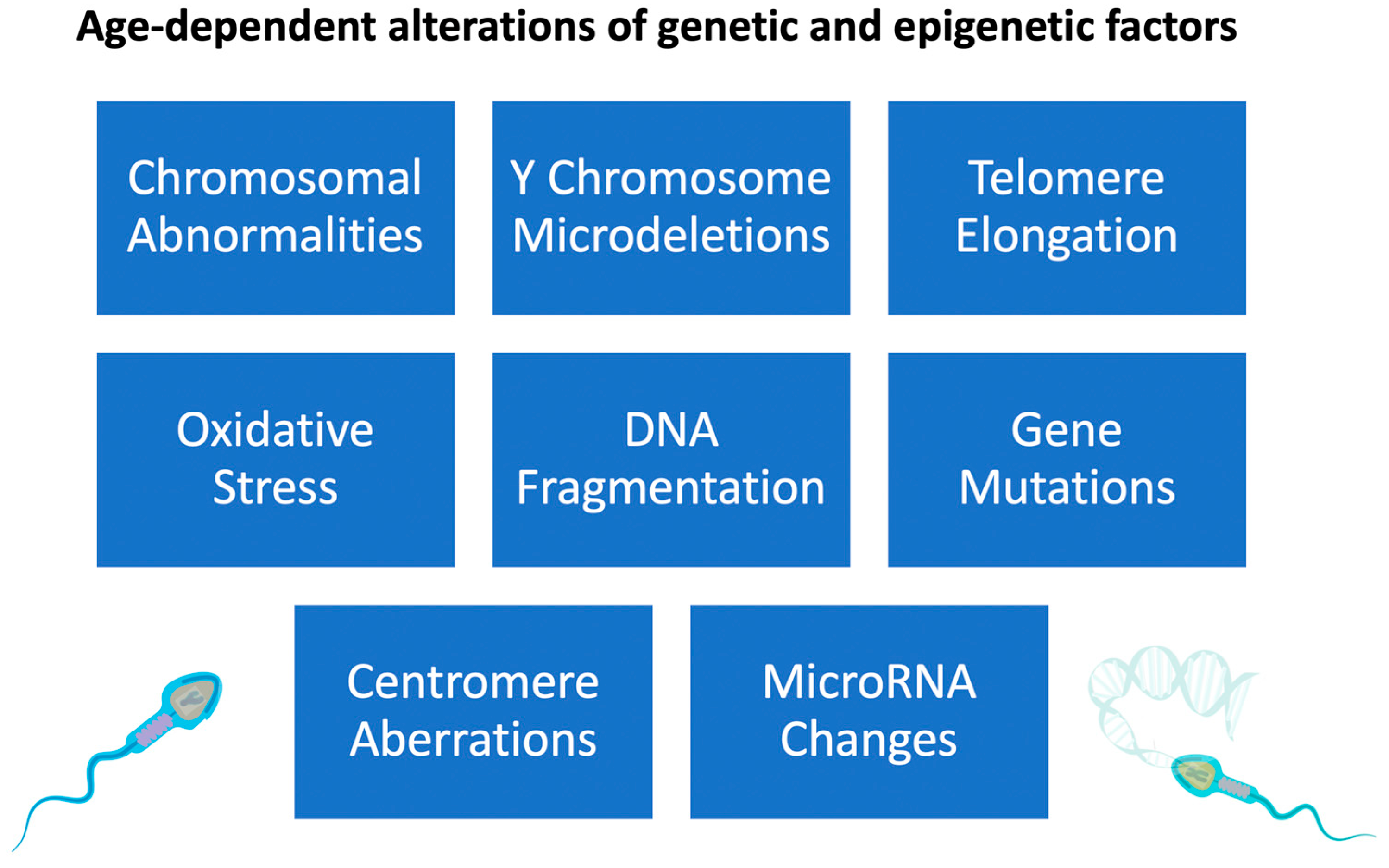 Genes 14 00486 g002