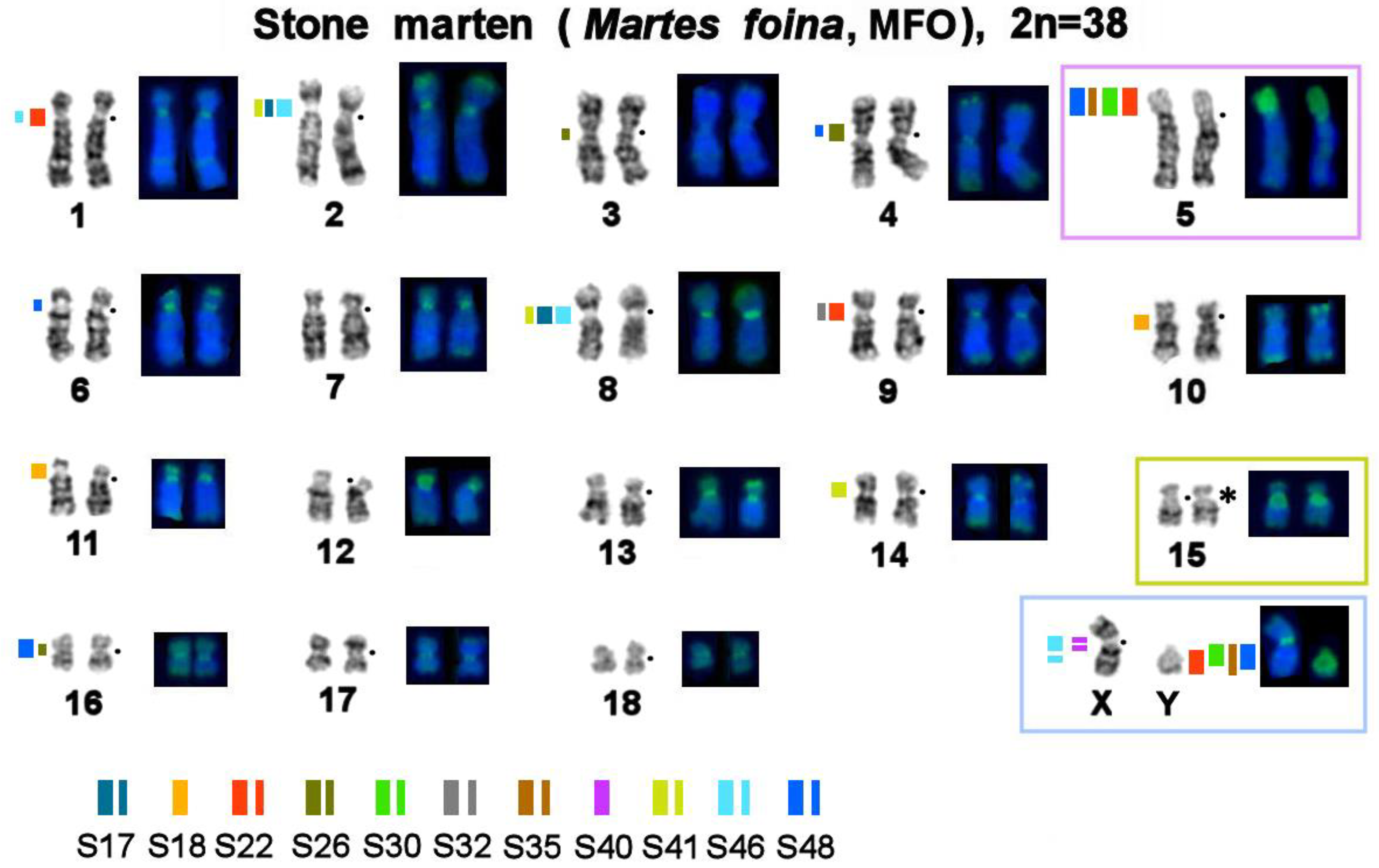 Genes 14 00489 g001 Genes 14 00489 g001
