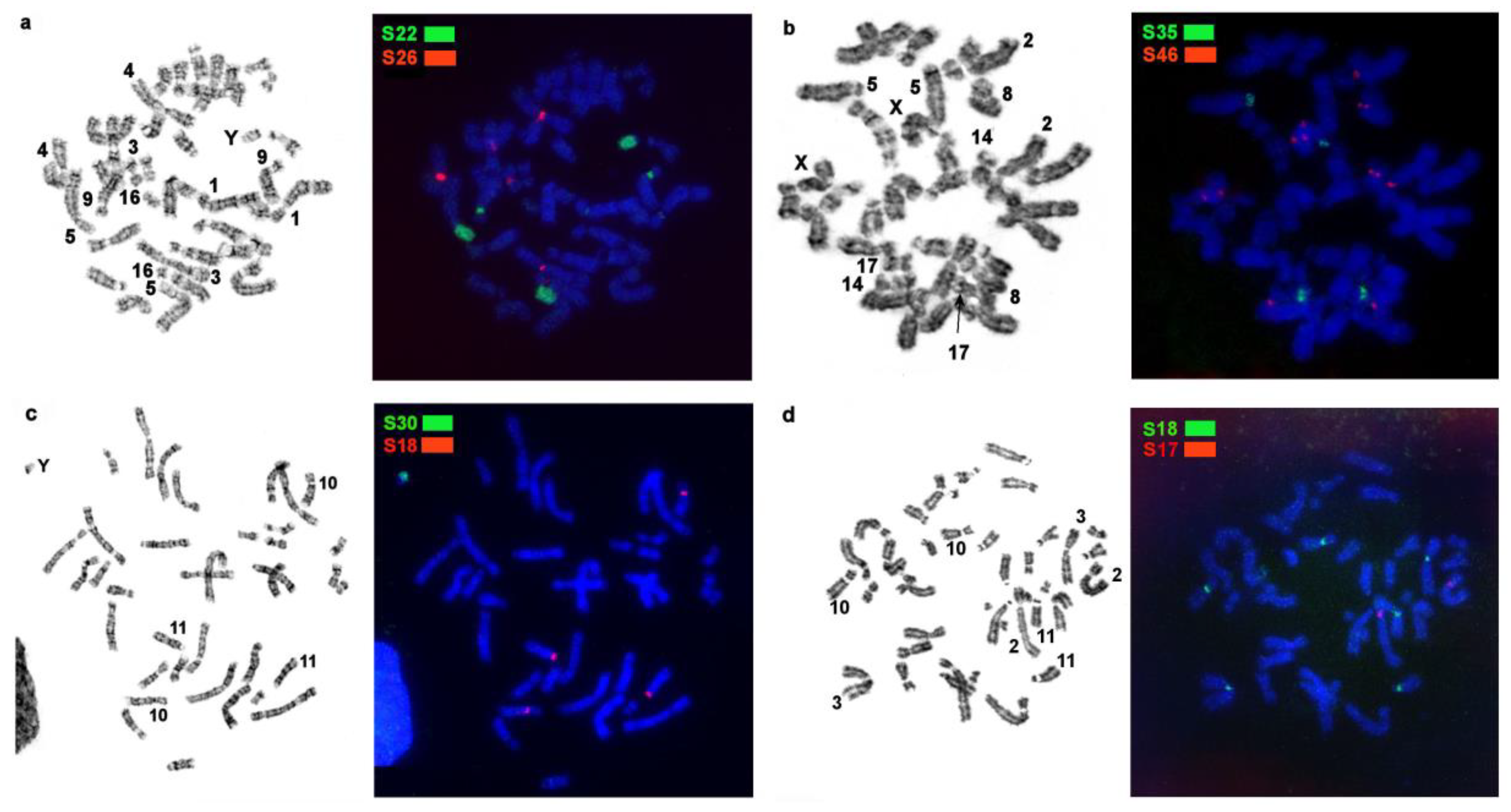 Genes 14 00489 g002 Genes 14 00489 g002