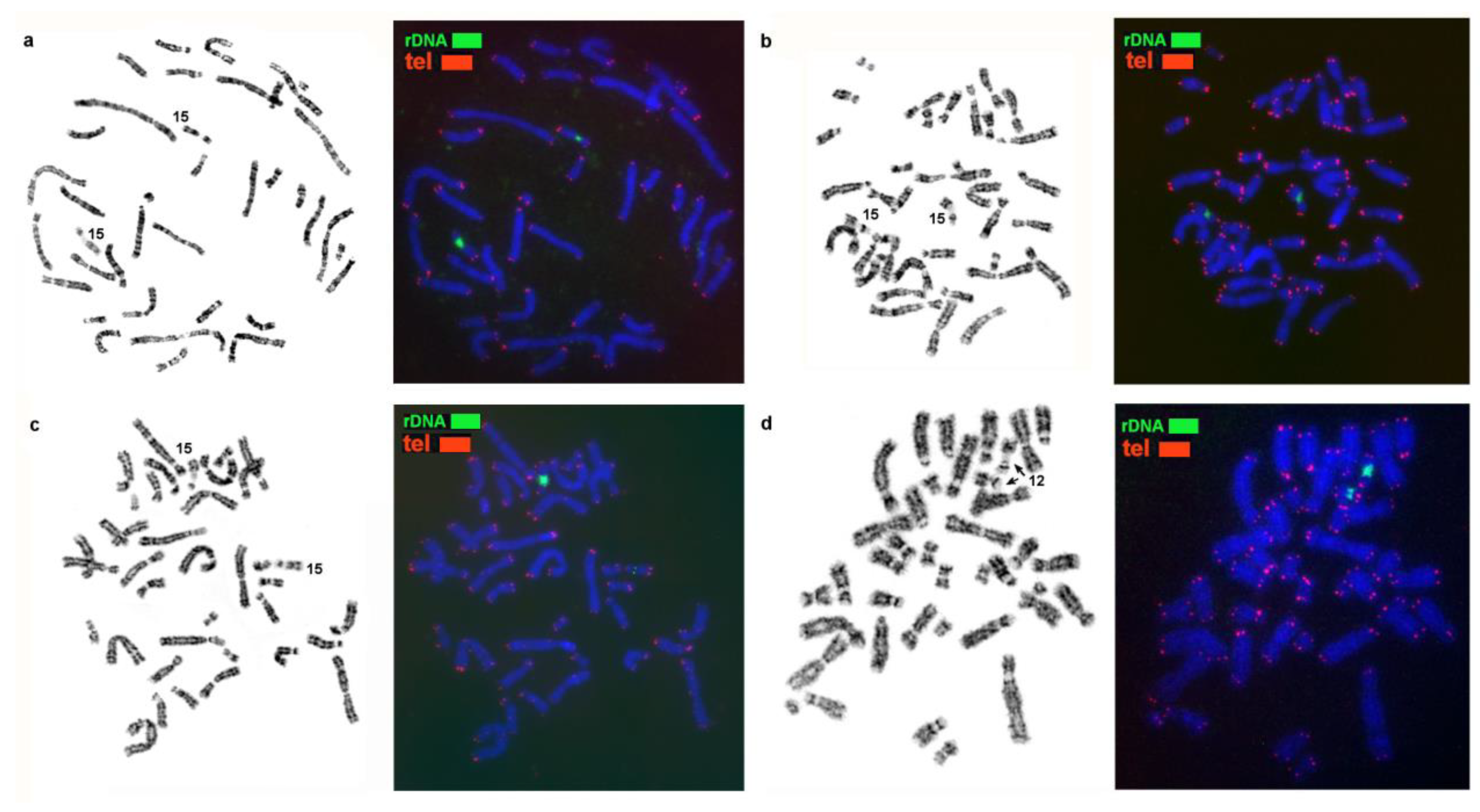 Genes 14 00489 g003 Genes 14 00489 g003
