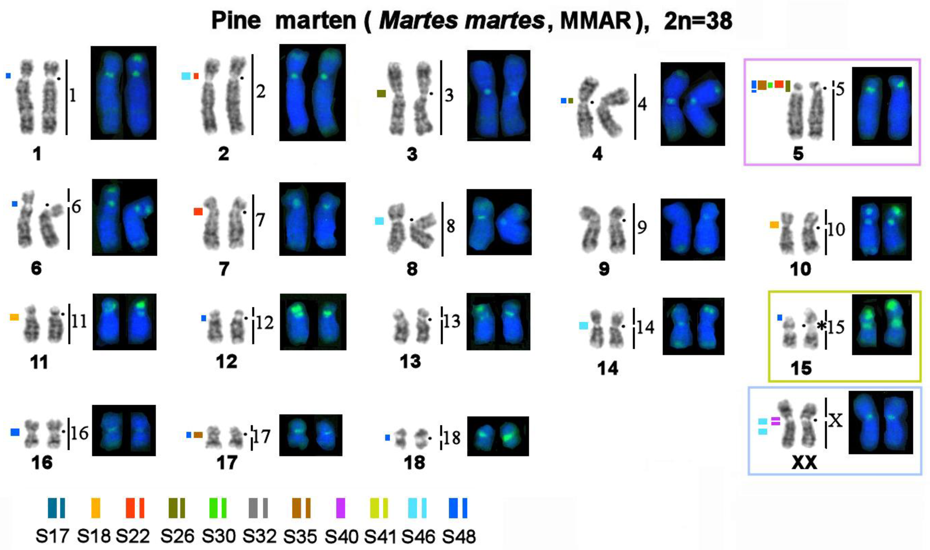 Genes 14 00489 g004 Genes 14 00489 g004