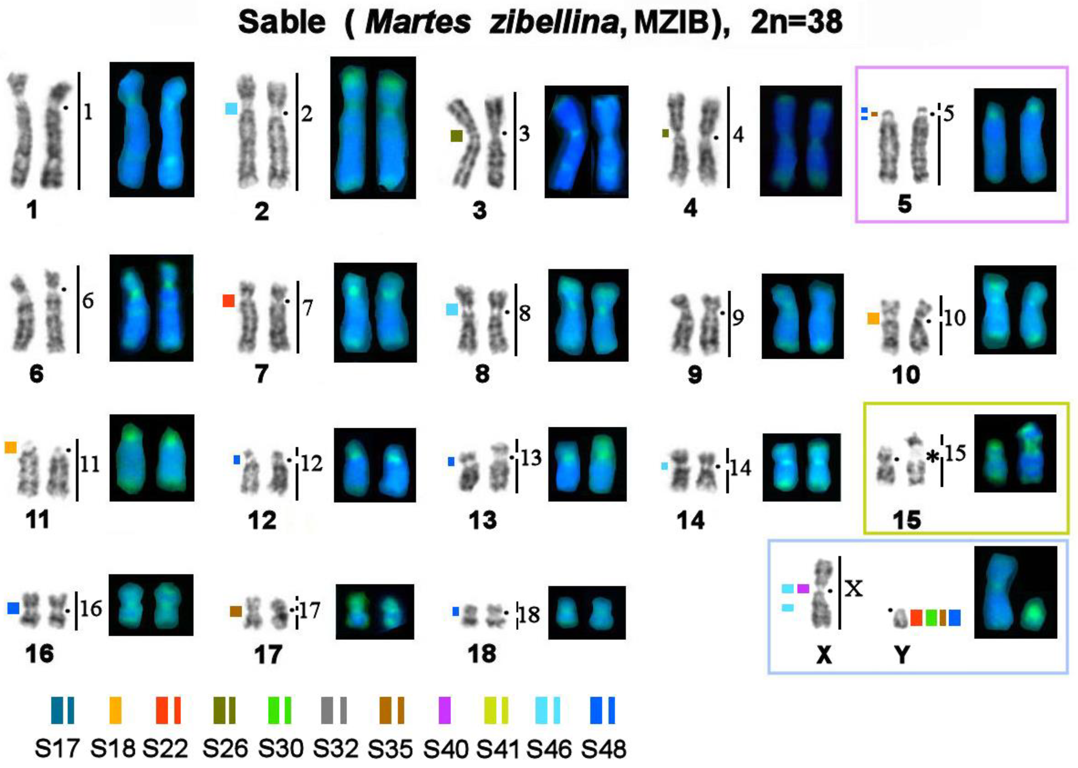 Genes 14 00489 g005 Genes 14 00489 g005