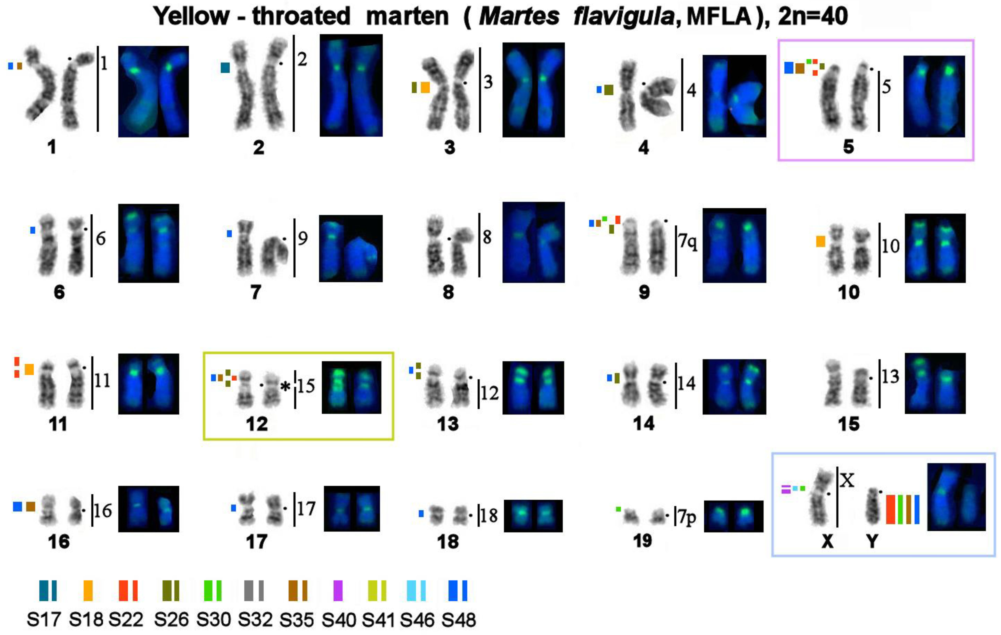 Genes 14 00489 g006 Genes 14 00489 g006
