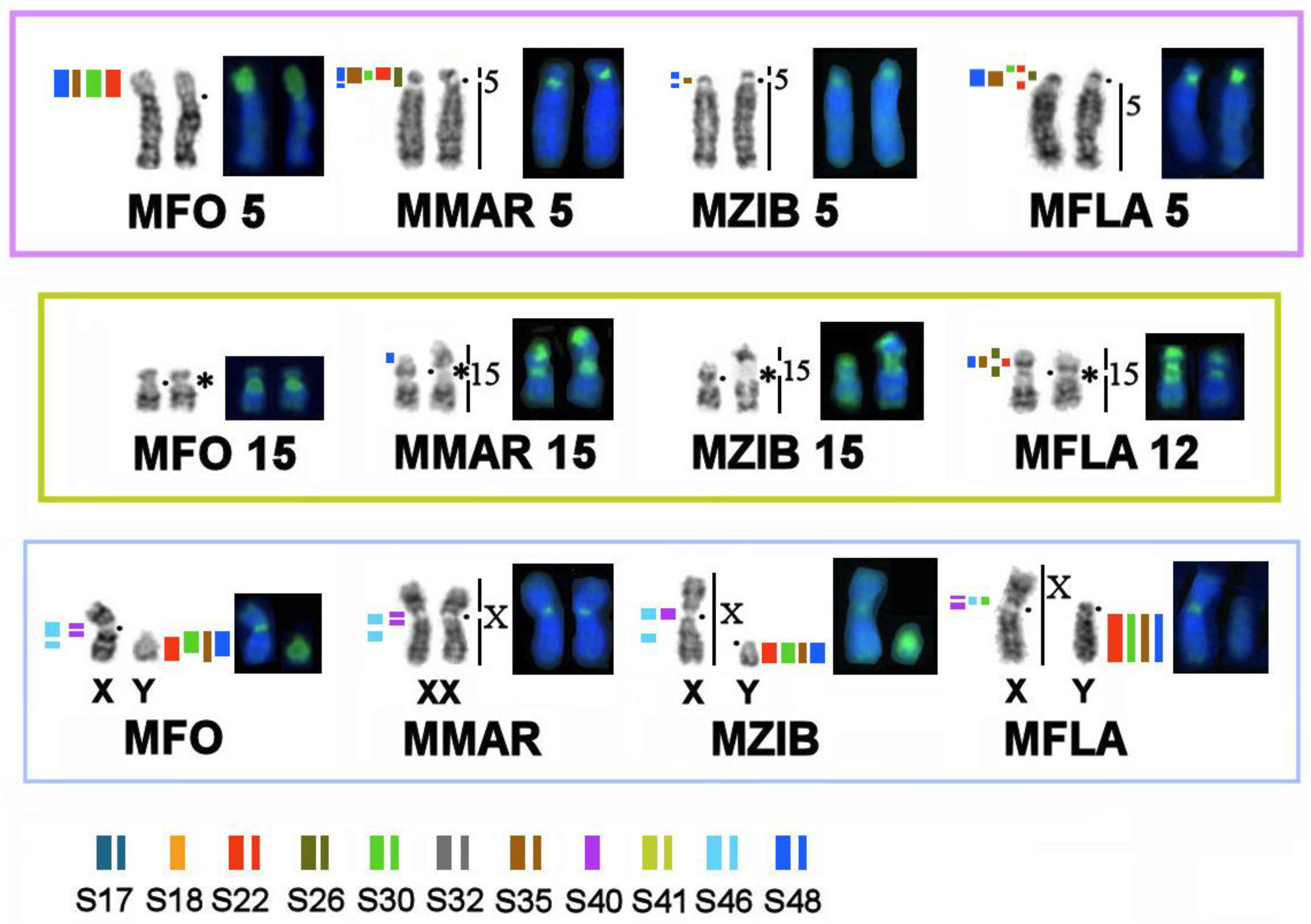 Genes 14 00489 g007 Genes 14 00489 g007