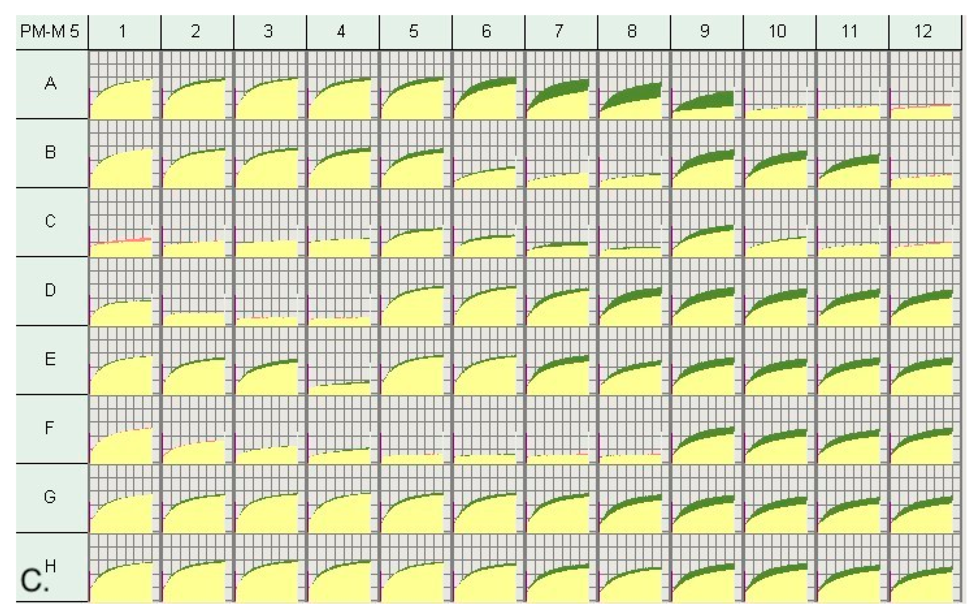 Genes 14 00490 g001b