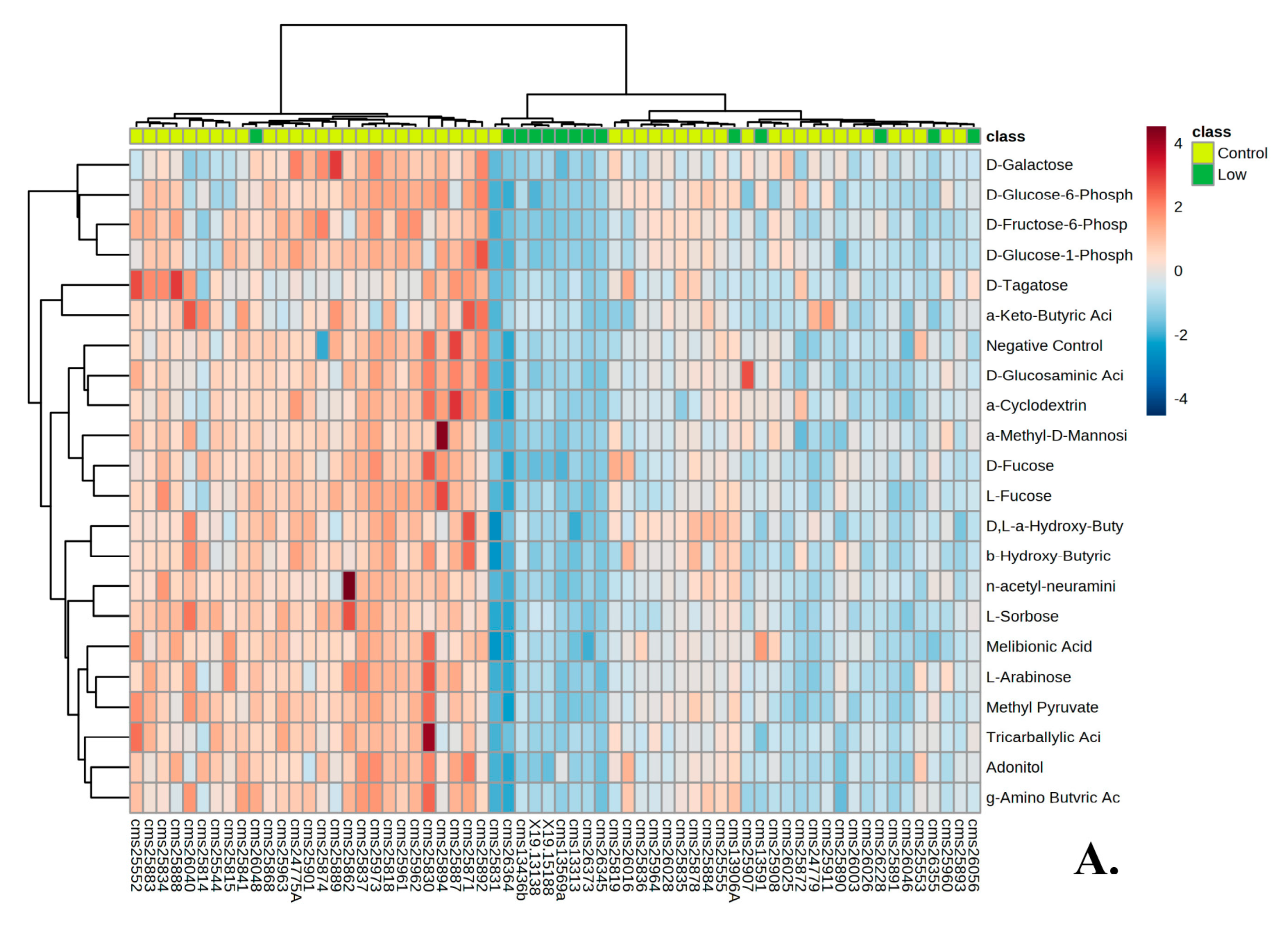 Genes 14 00490 g004a