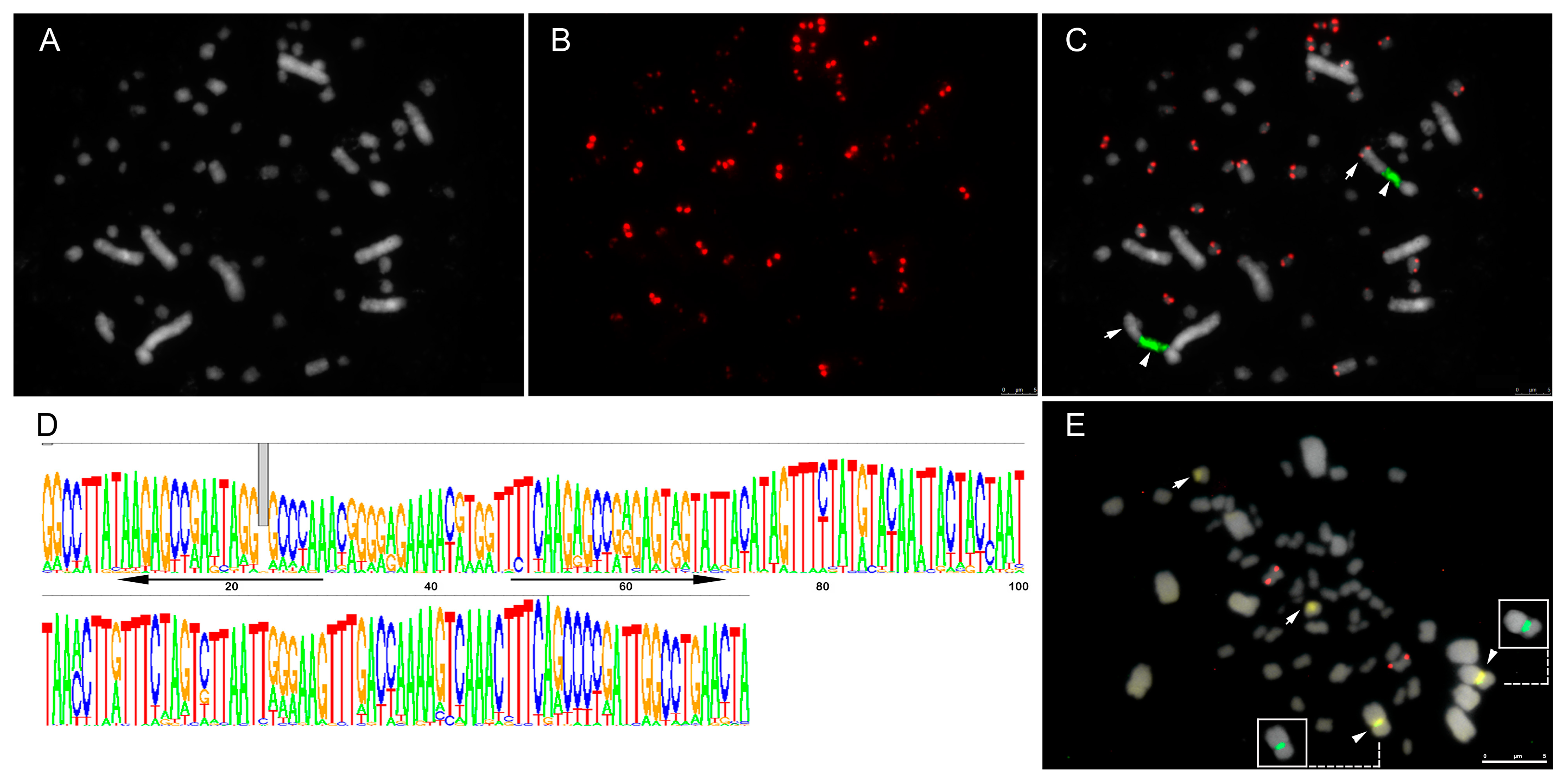 Genes 14 00491 g002 Genes 14 00491 g002