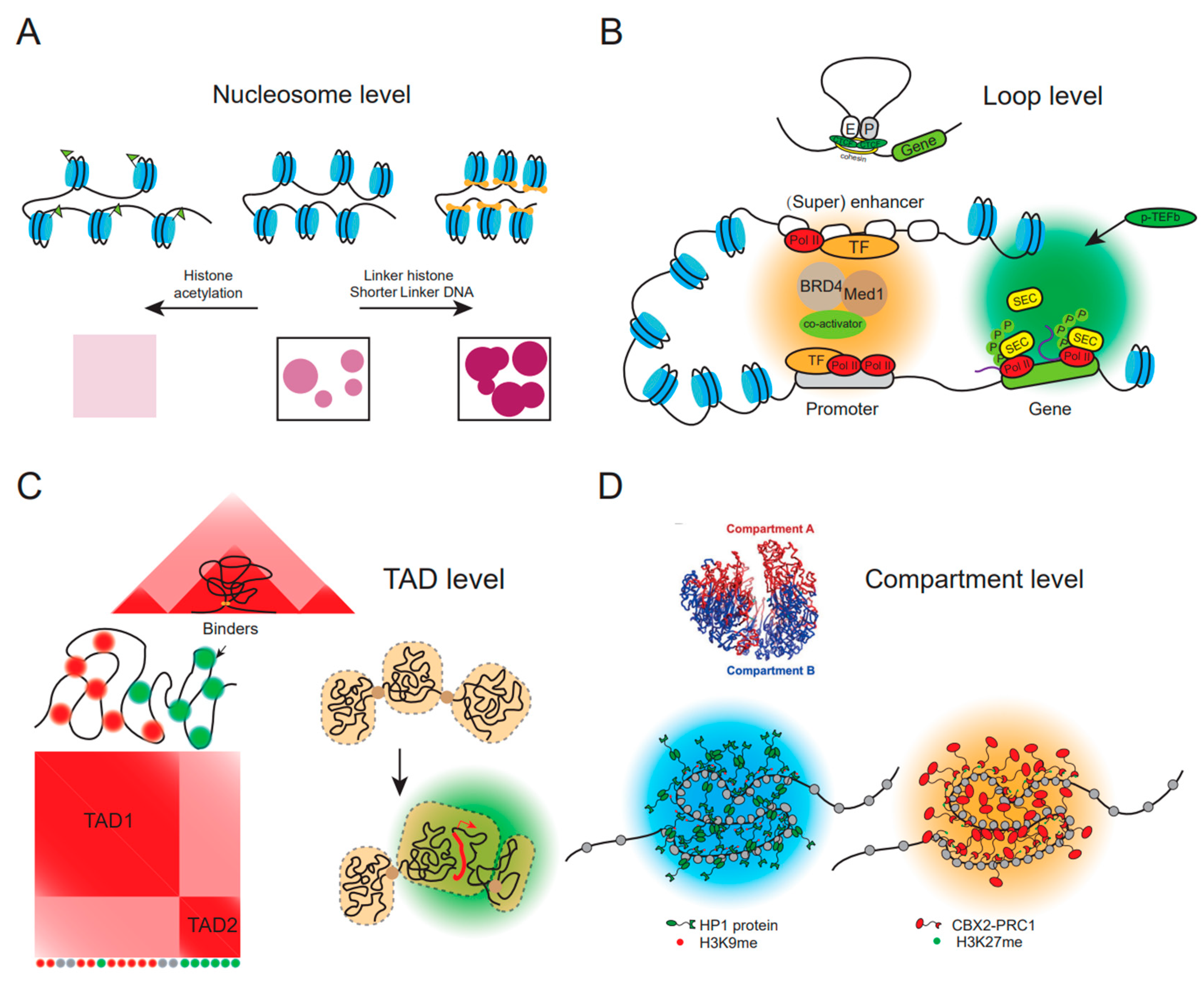 Genes 14 00499 g001 Genes 14 00499 g001