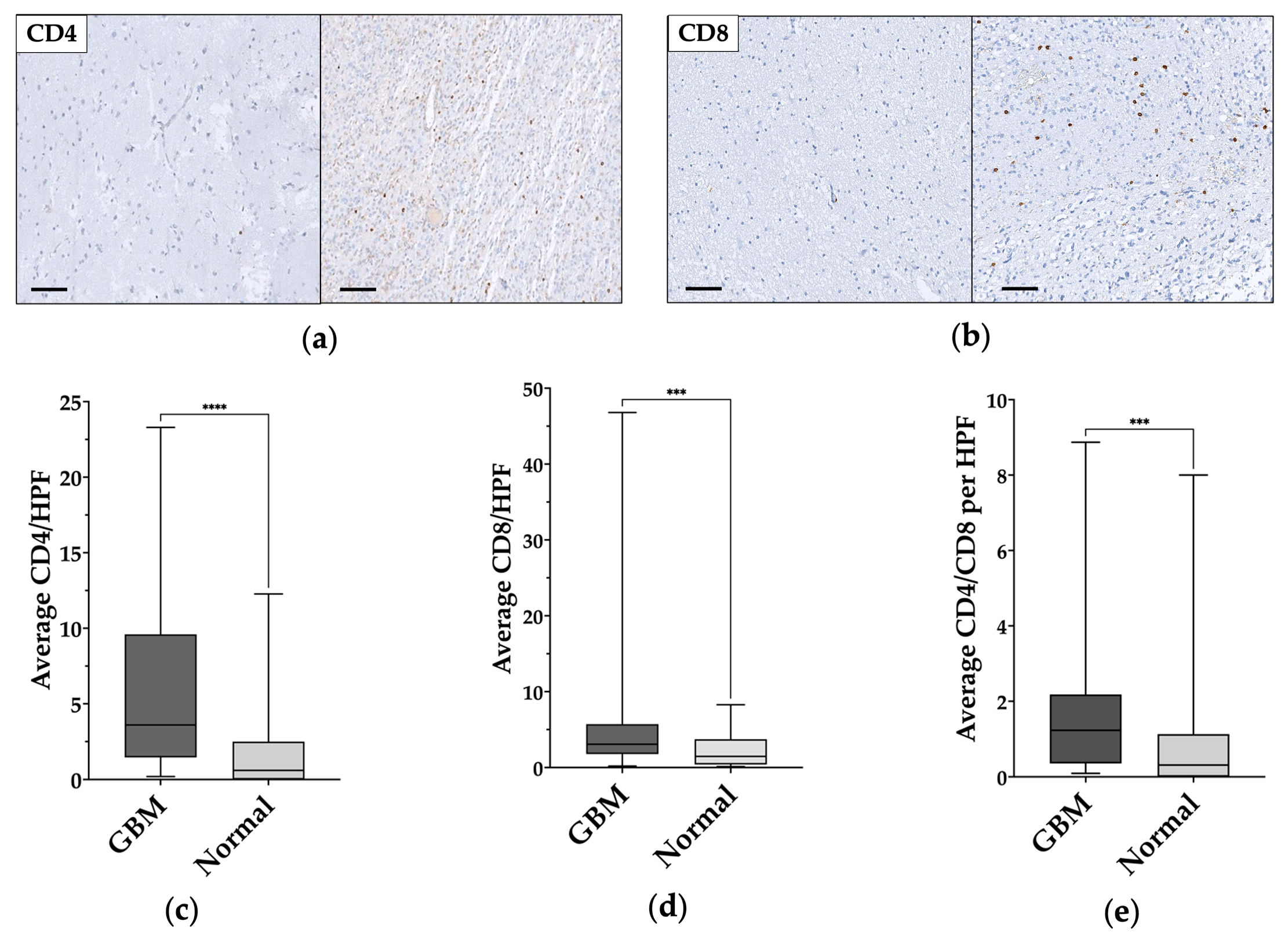 Genes 14 00501 g003 Genes 14 00501 g003