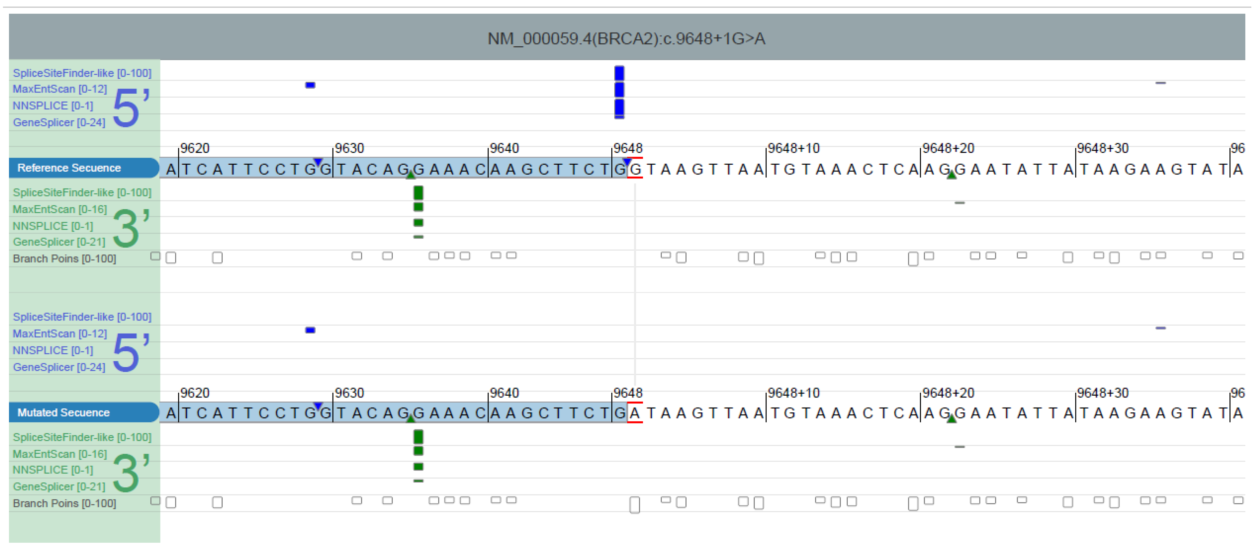 Genes 14 00502 g002