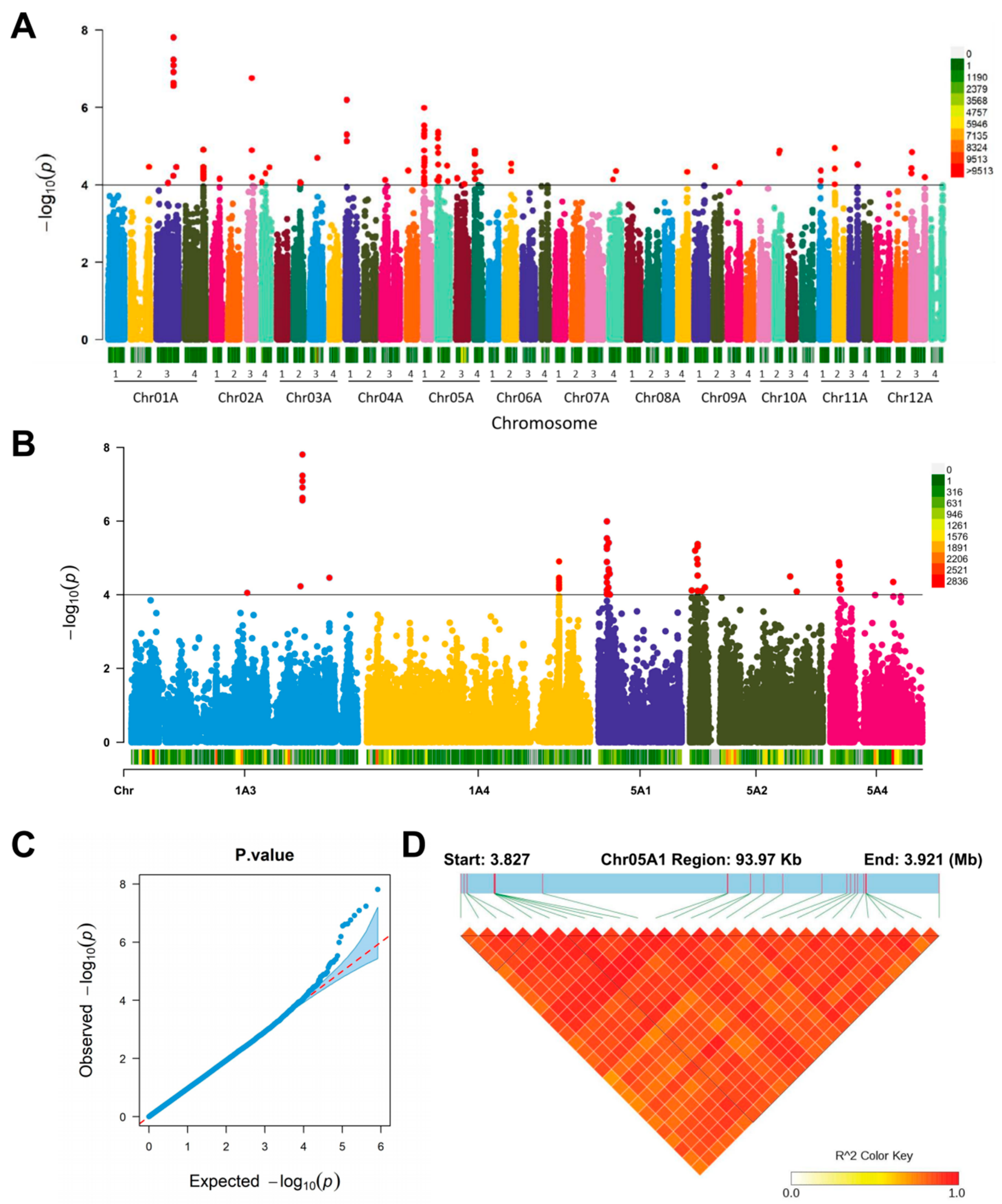 Genes 14 00507 g003 Genes 14 00507 g003