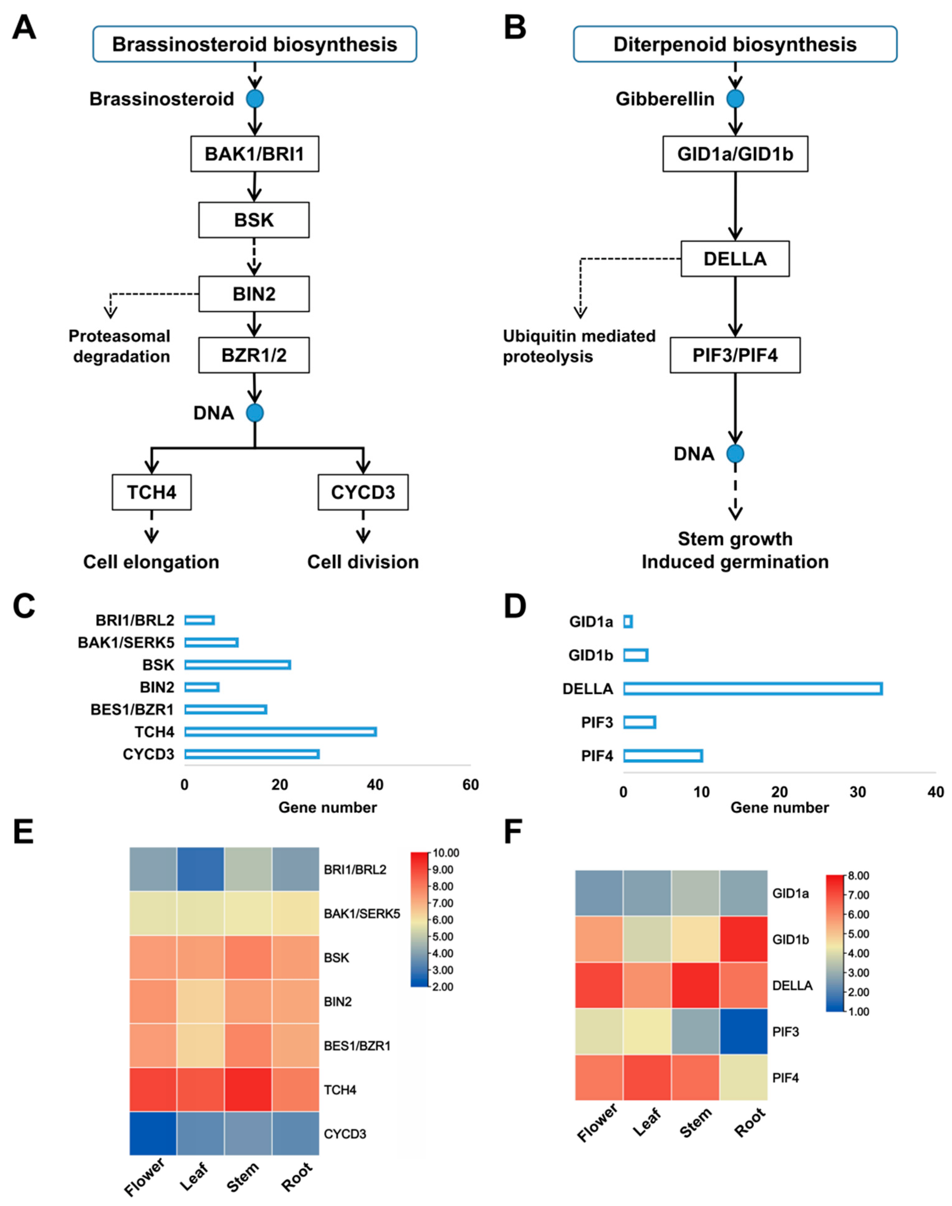Genes 14 00507 g004 Genes 14 00507 g004