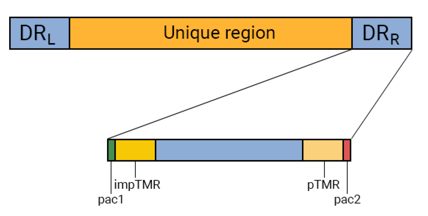 Genes 14 00521 g001