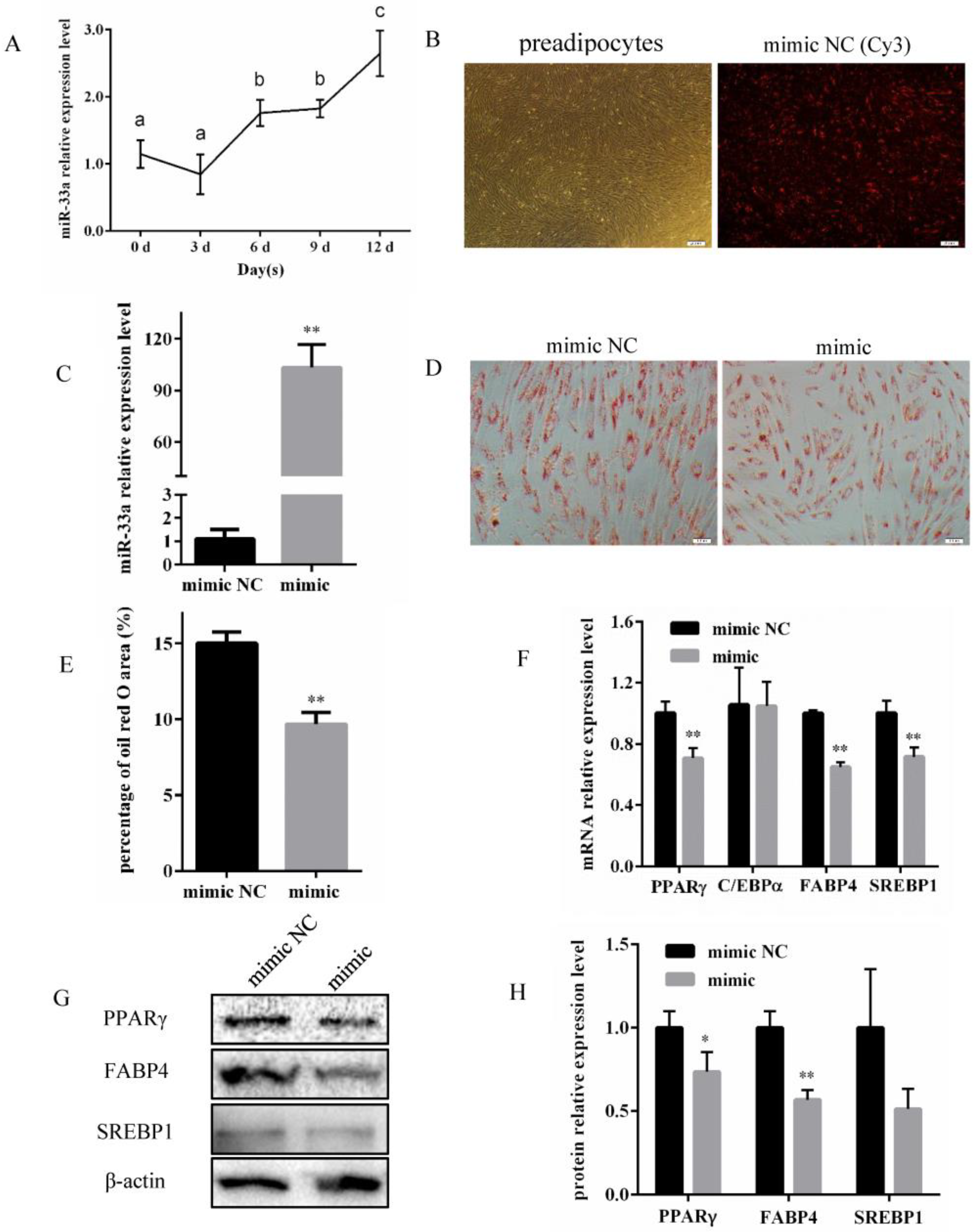 Genes 14 00529 g001 Genes 14 00529 g001