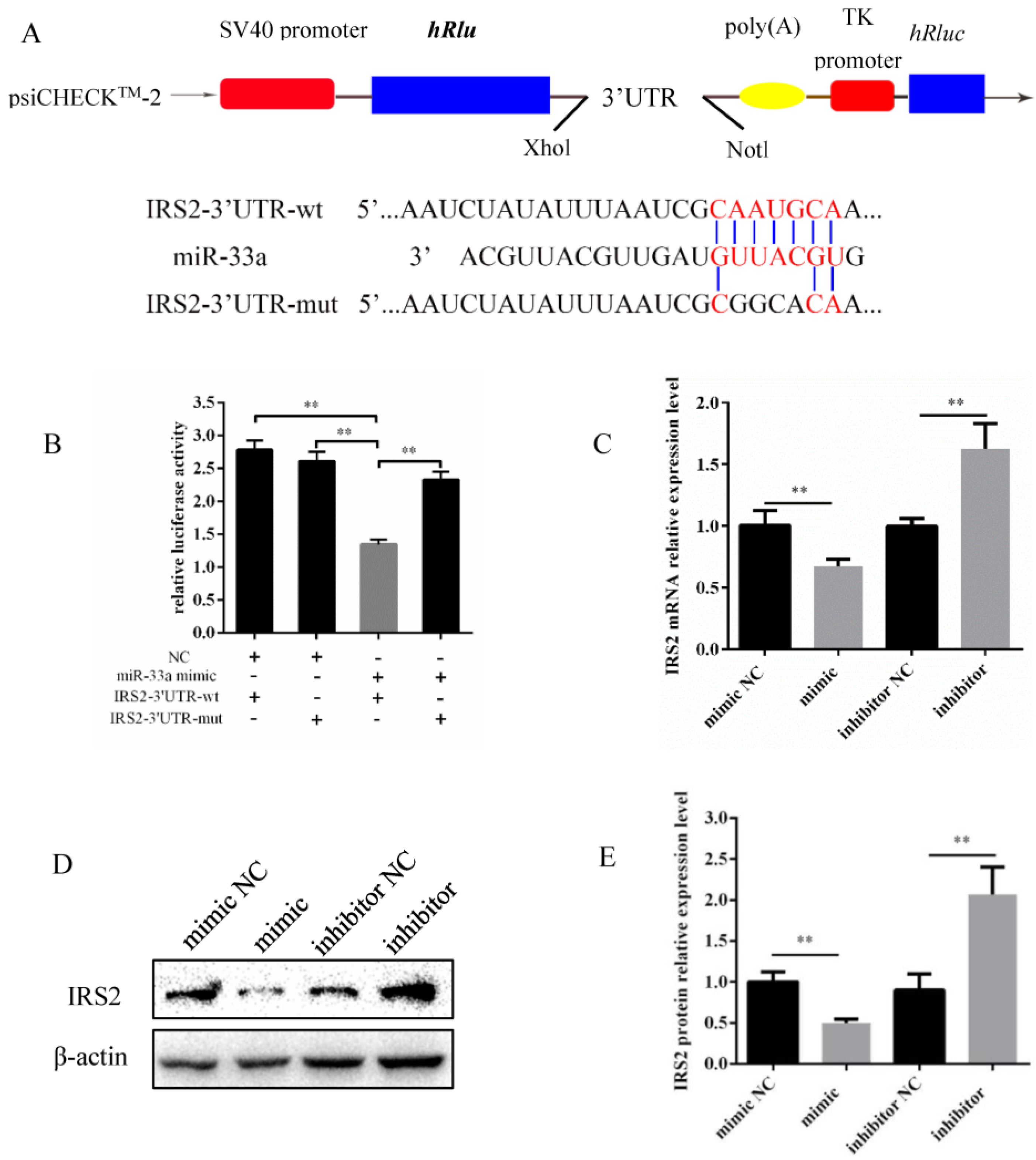 Genes 14 00529 g003 Genes 14 00529 g003