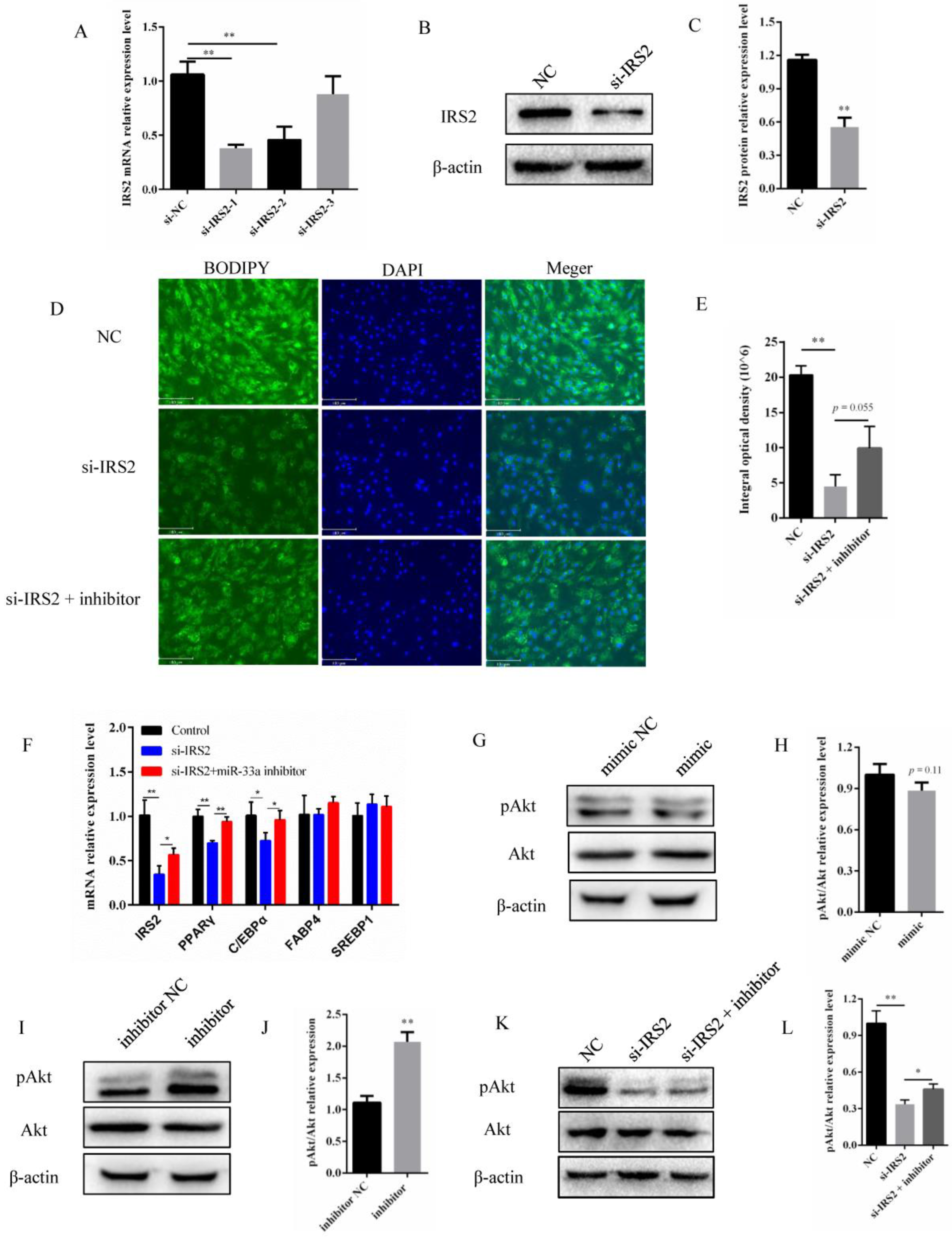 Genes 14 00529 g004 Genes 14 00529 g004