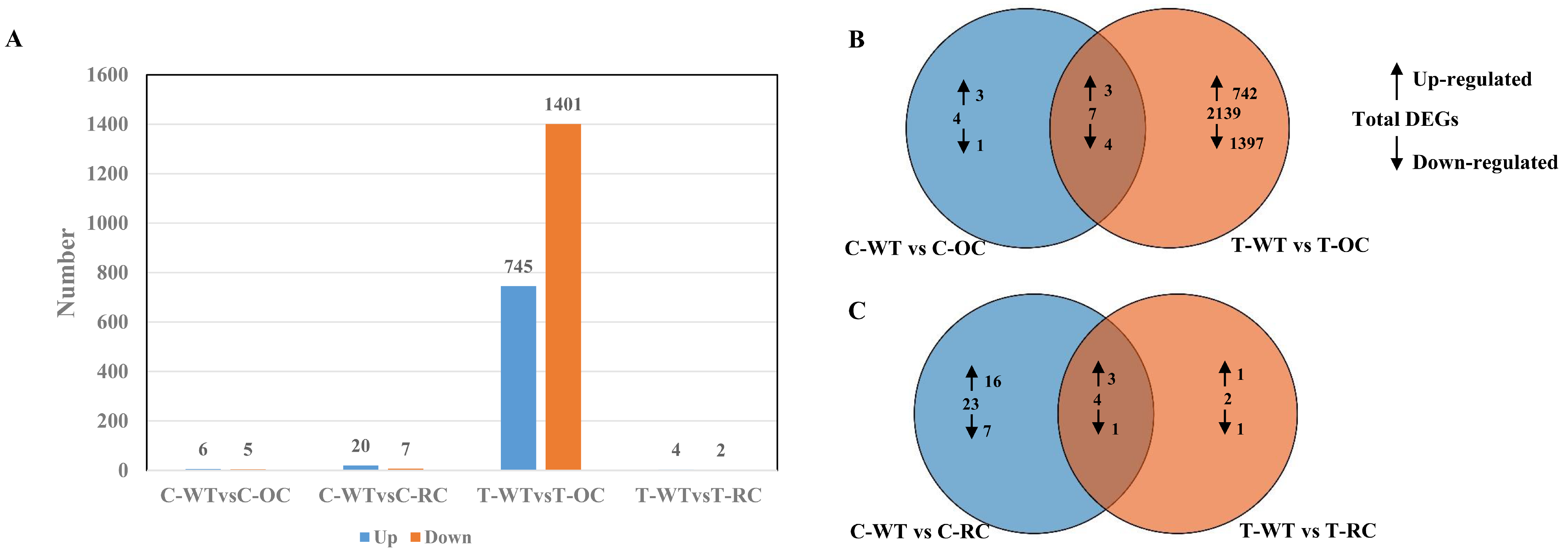 Genes 14 00538 g007