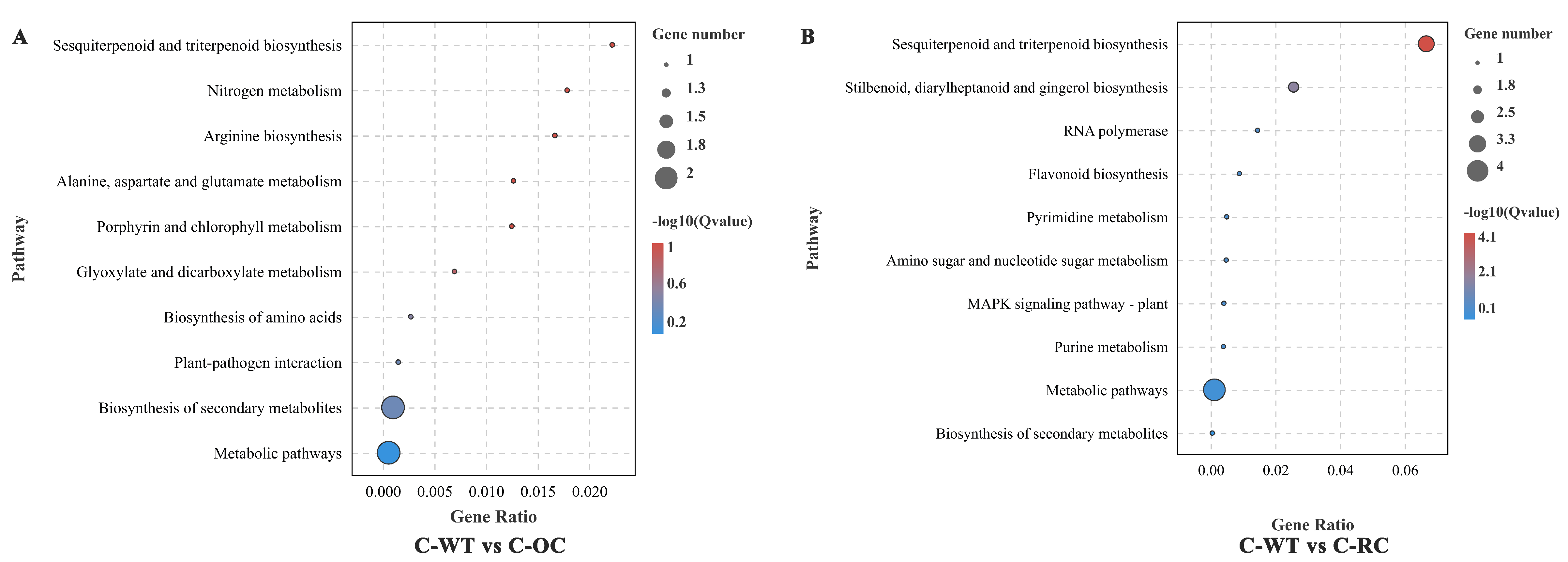Genes 14 00538 g008
