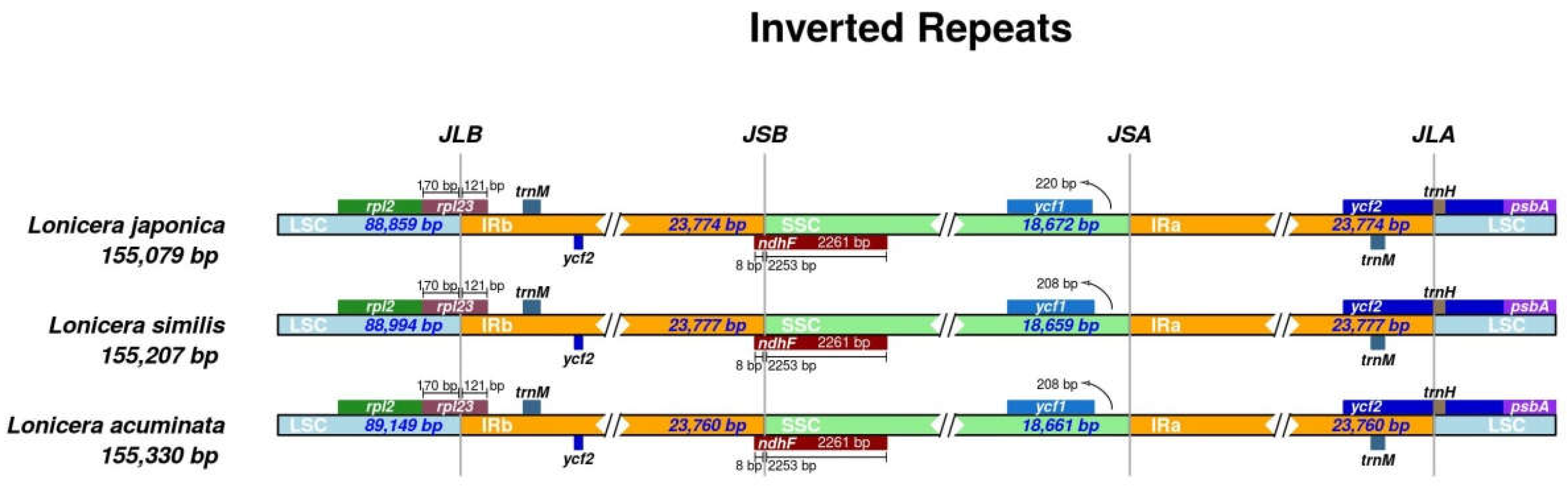 Genes 14 00548 g004 Genes 14 00548 g004