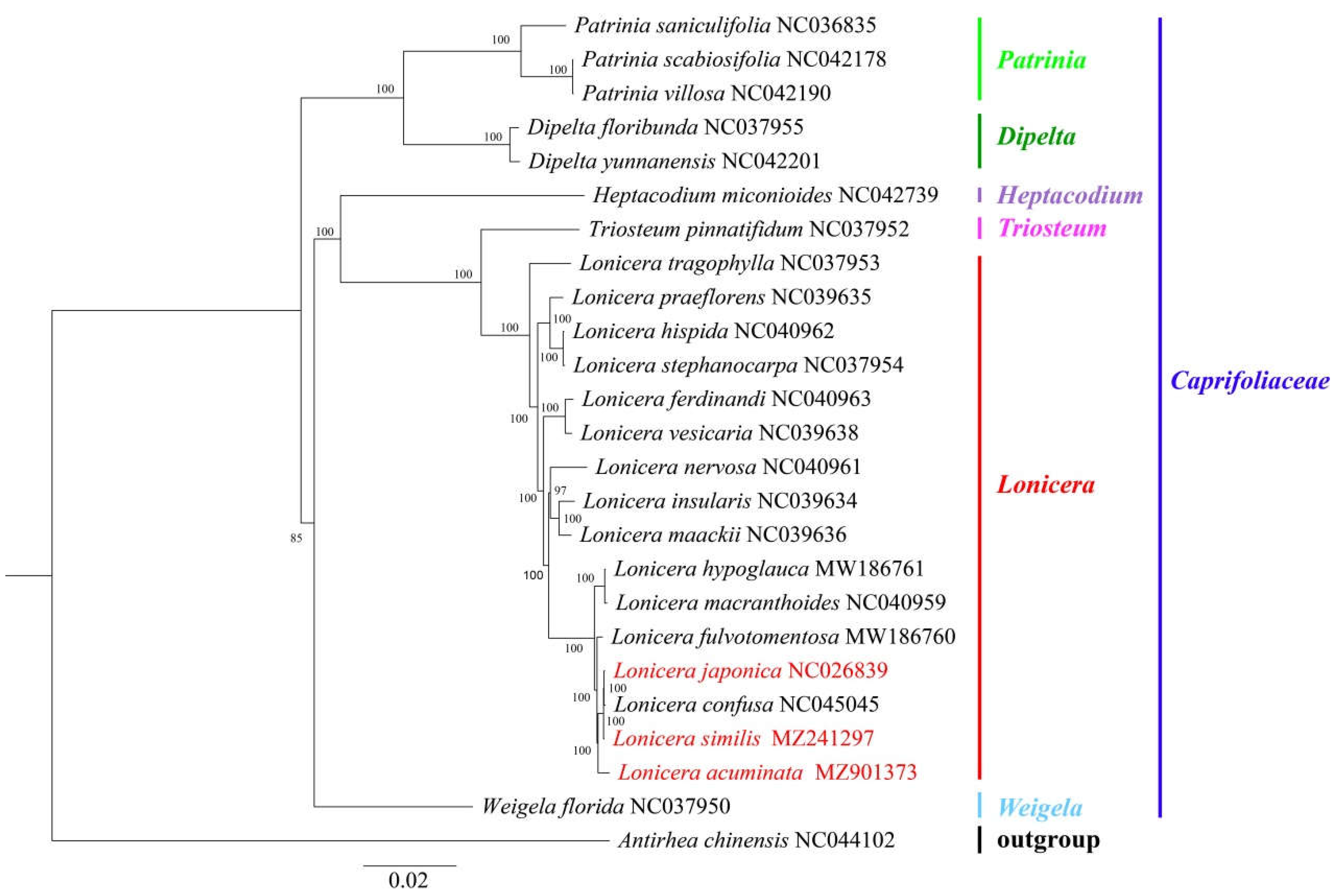 Genes 14 00548 g007 Genes 14 00548 g007