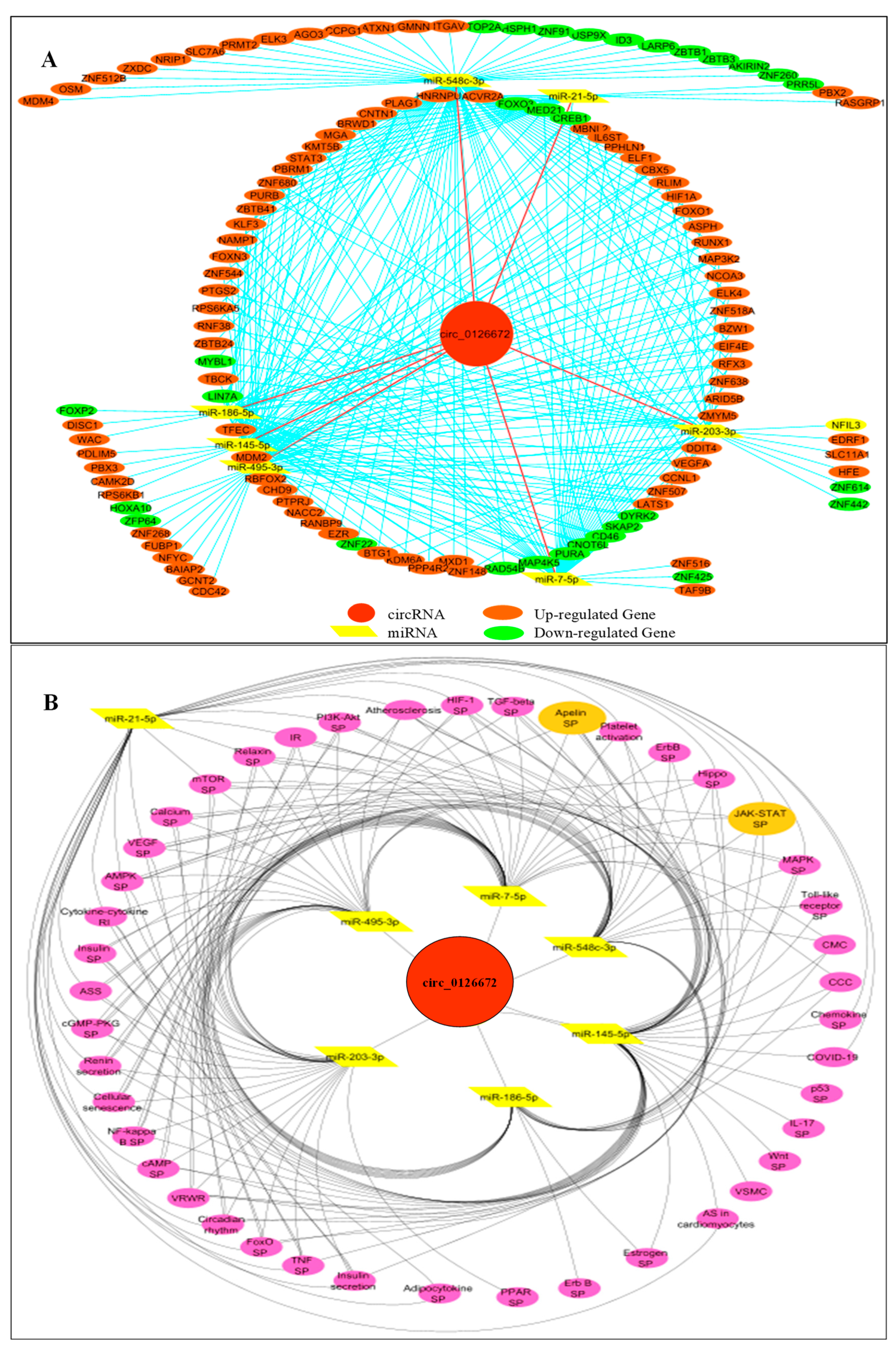Genes 14 00550 g006