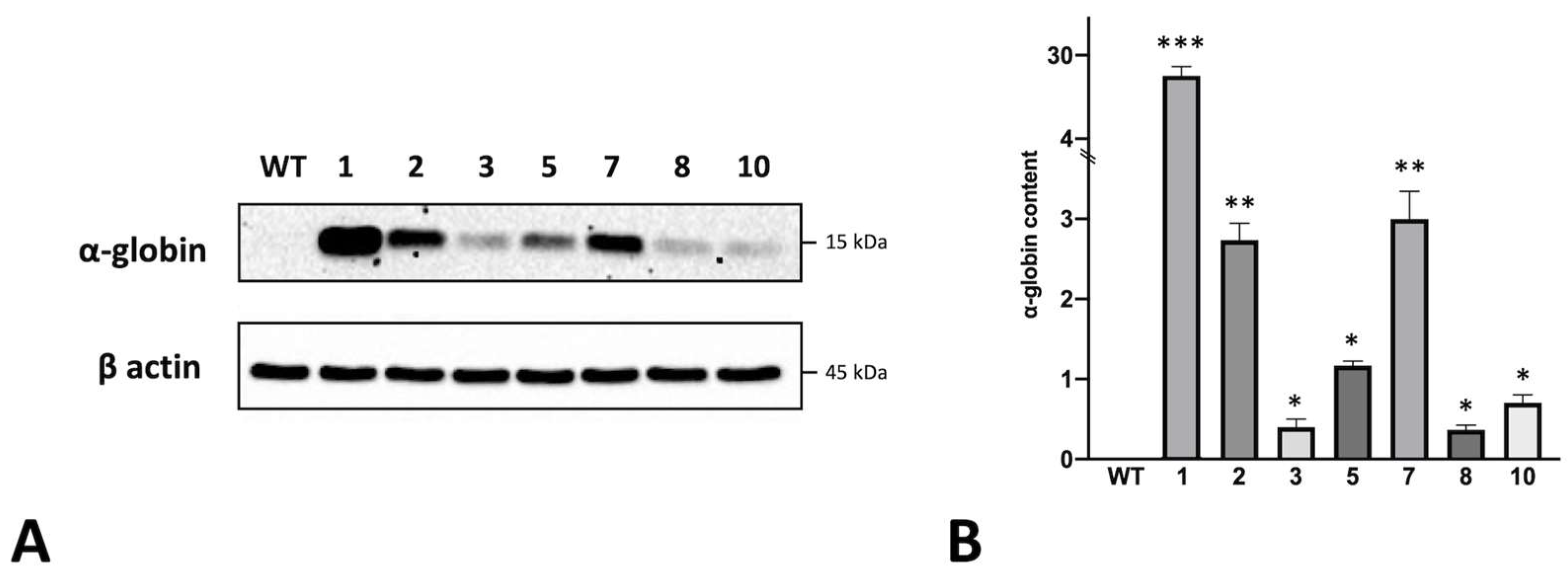 Genes 14 00556 g003 Genes 14 00556 g003