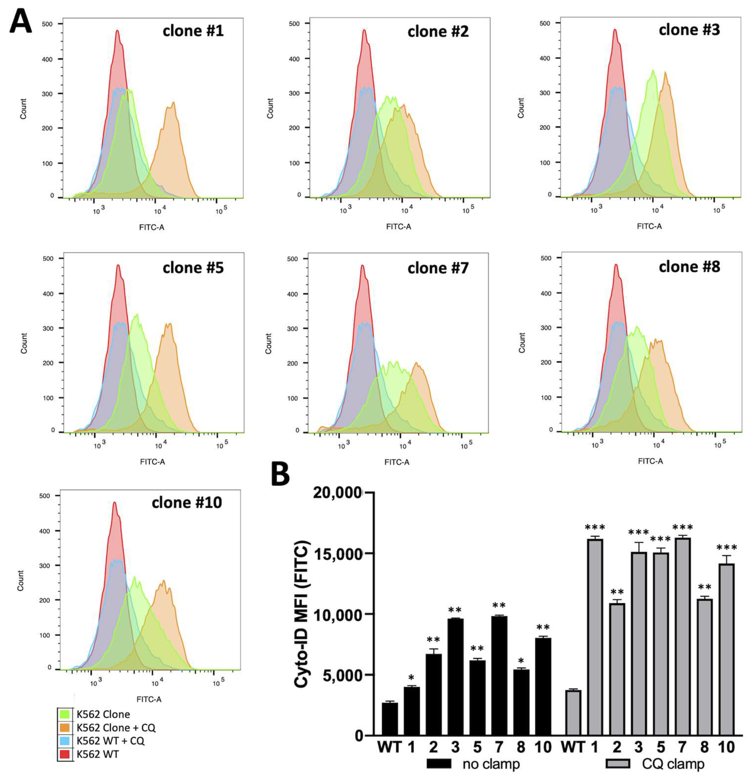 Genes 14 00556 g004 Genes 14 00556 g004