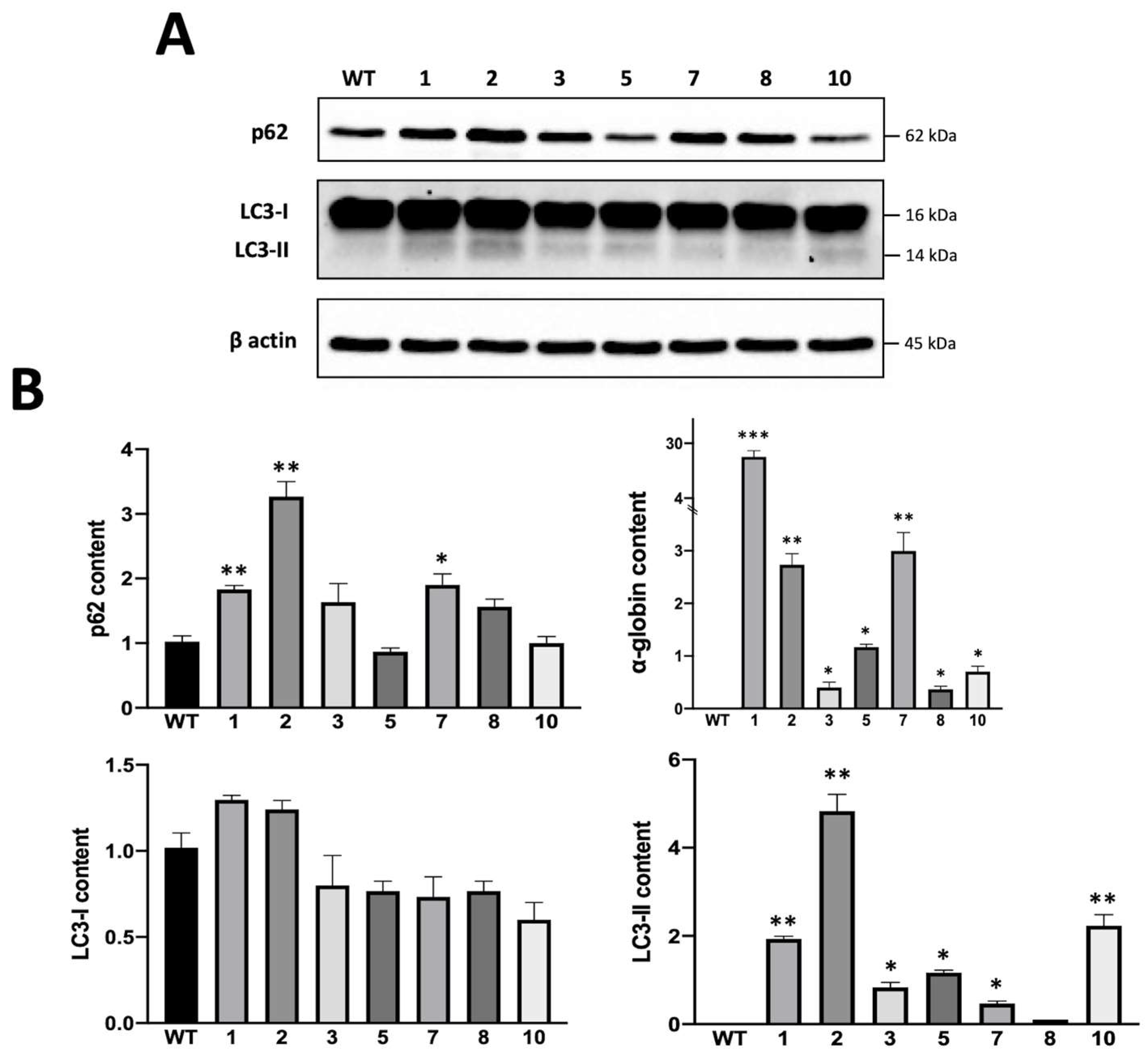 Genes 14 00556 g006 Genes 14 00556 g006