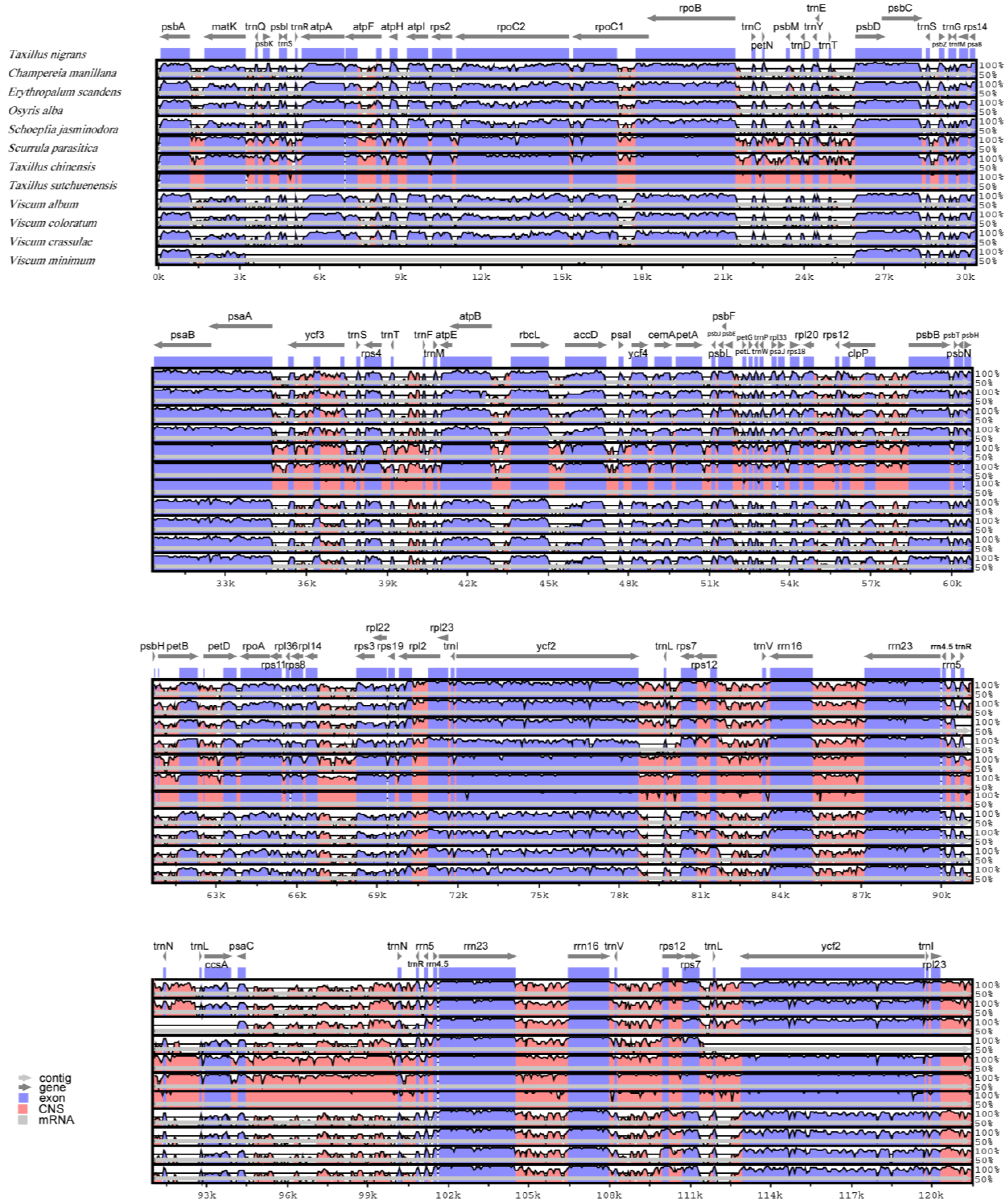 Genes 14 00560 g002 Genes 14 00560 g002