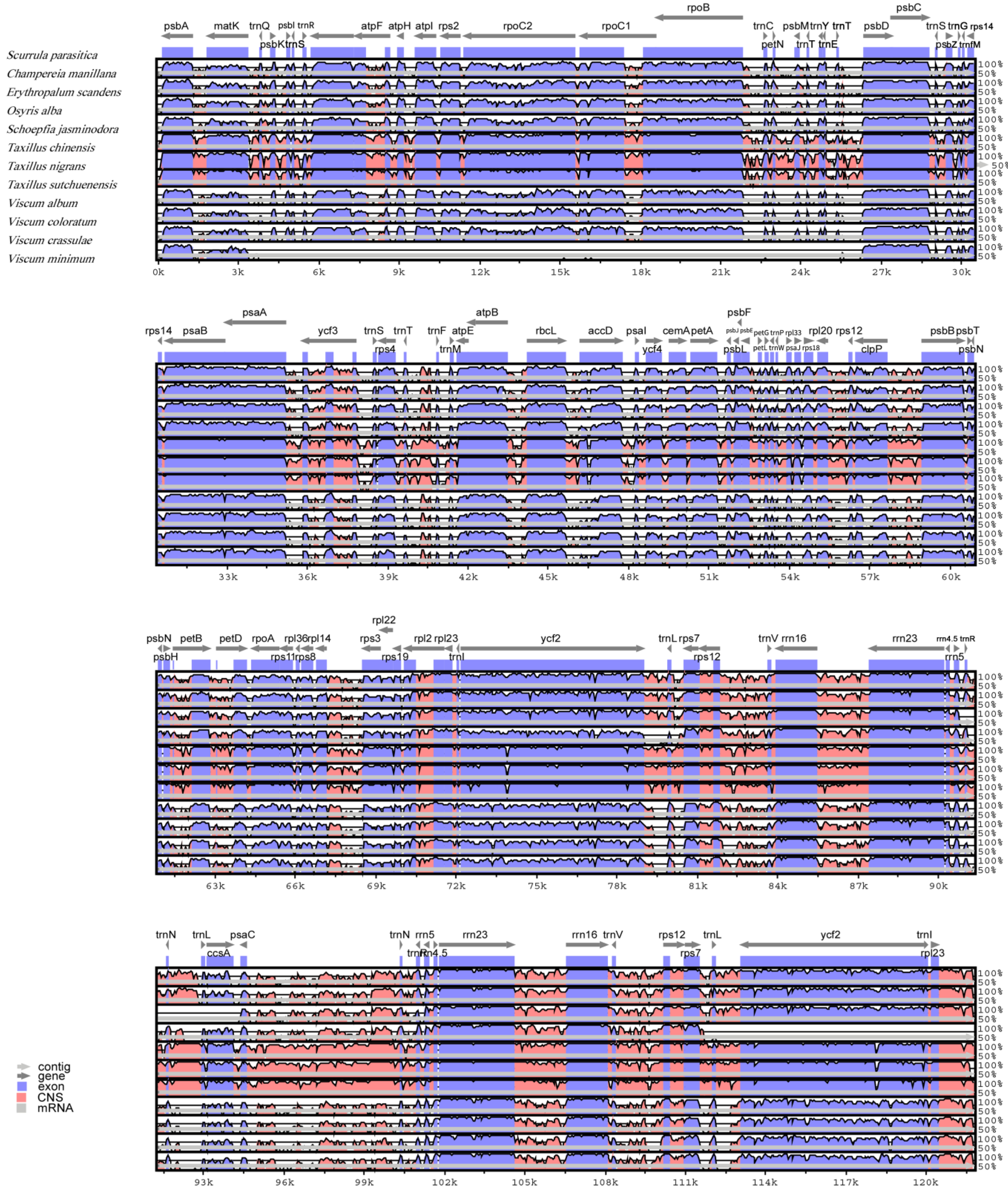 Genes 14 00560 g003 Genes 14 00560 g003