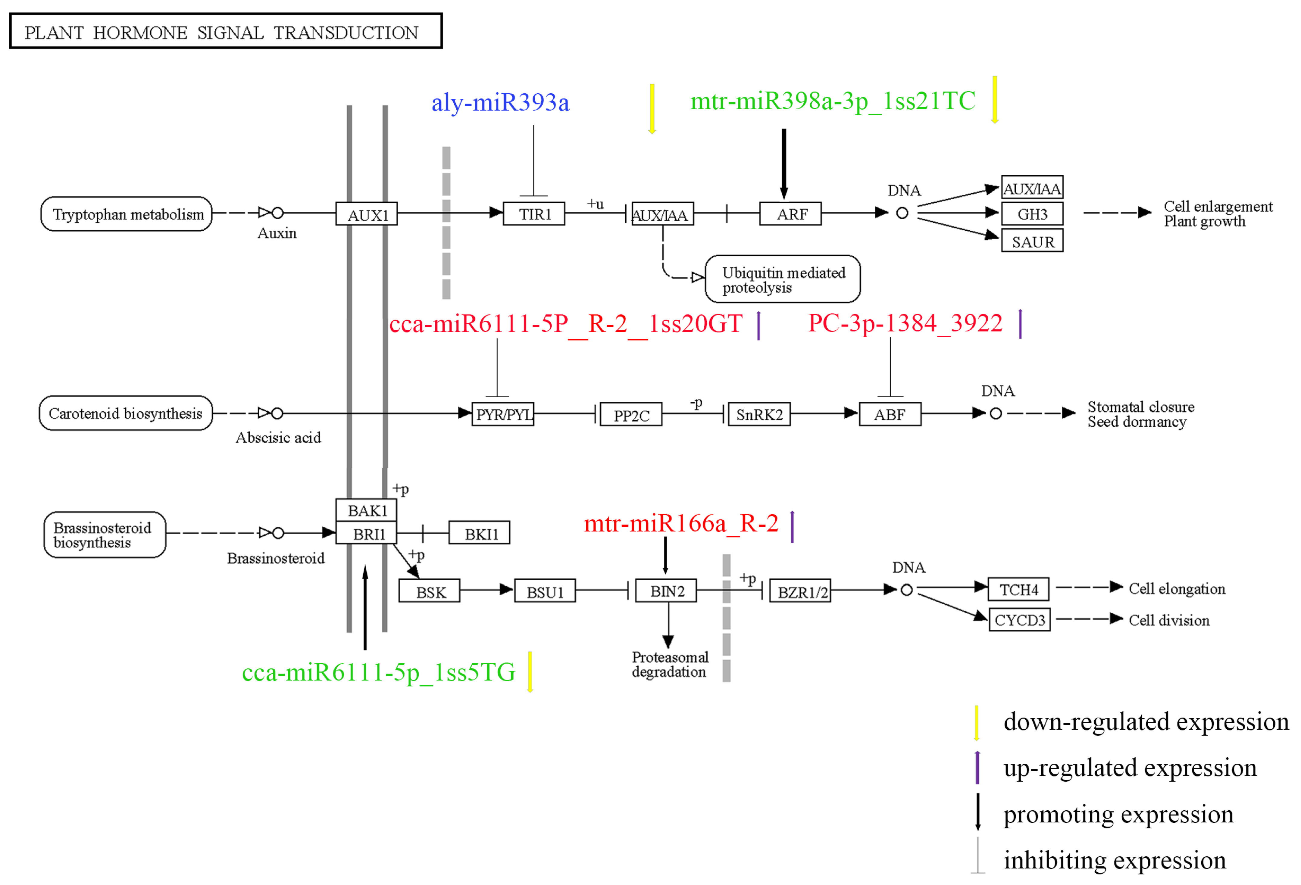 Genes 14 00561 g007