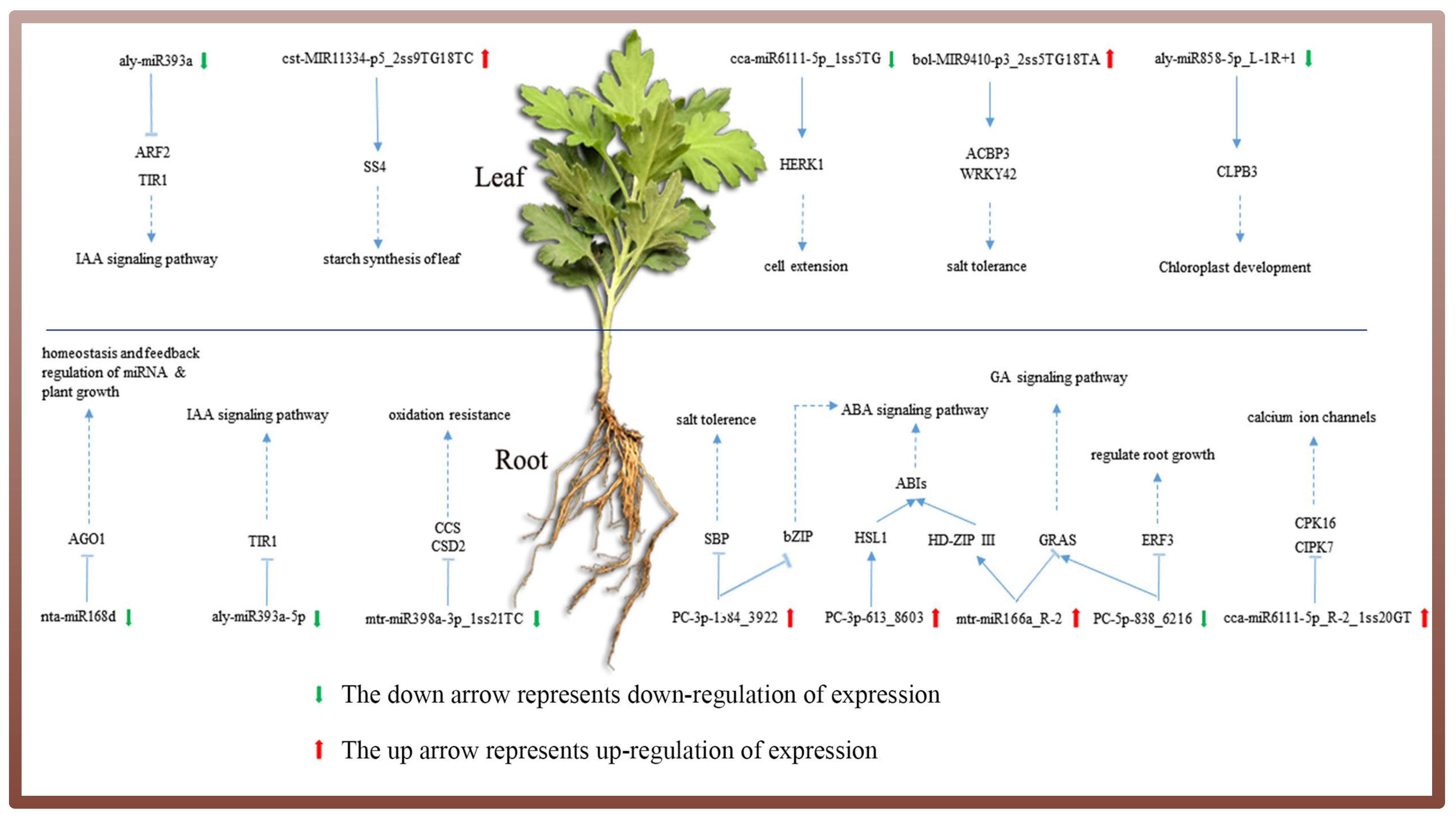 Genes 14 00561 g008