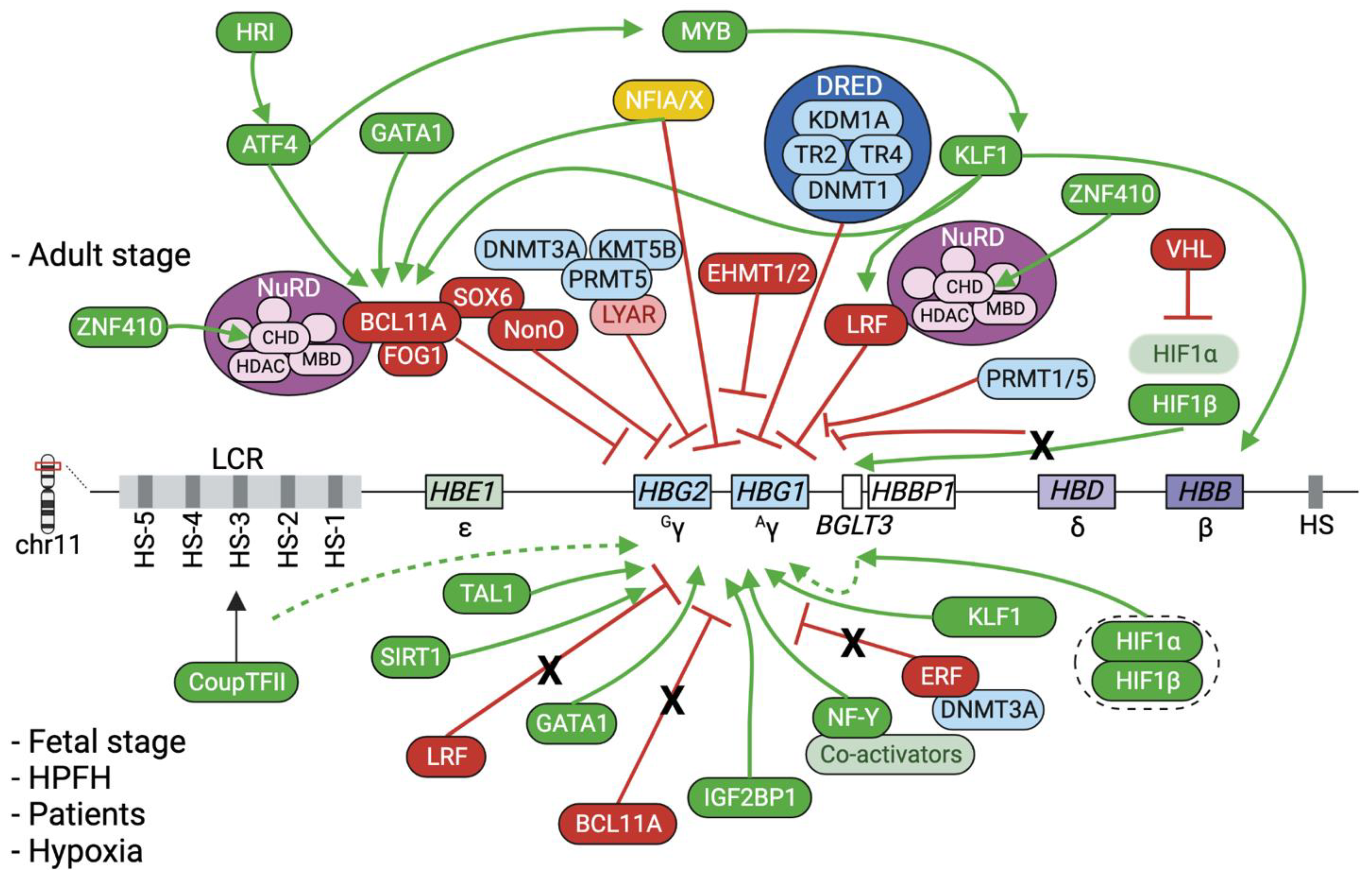 Genes 14 00577 g002 Genes 14 00577 g002