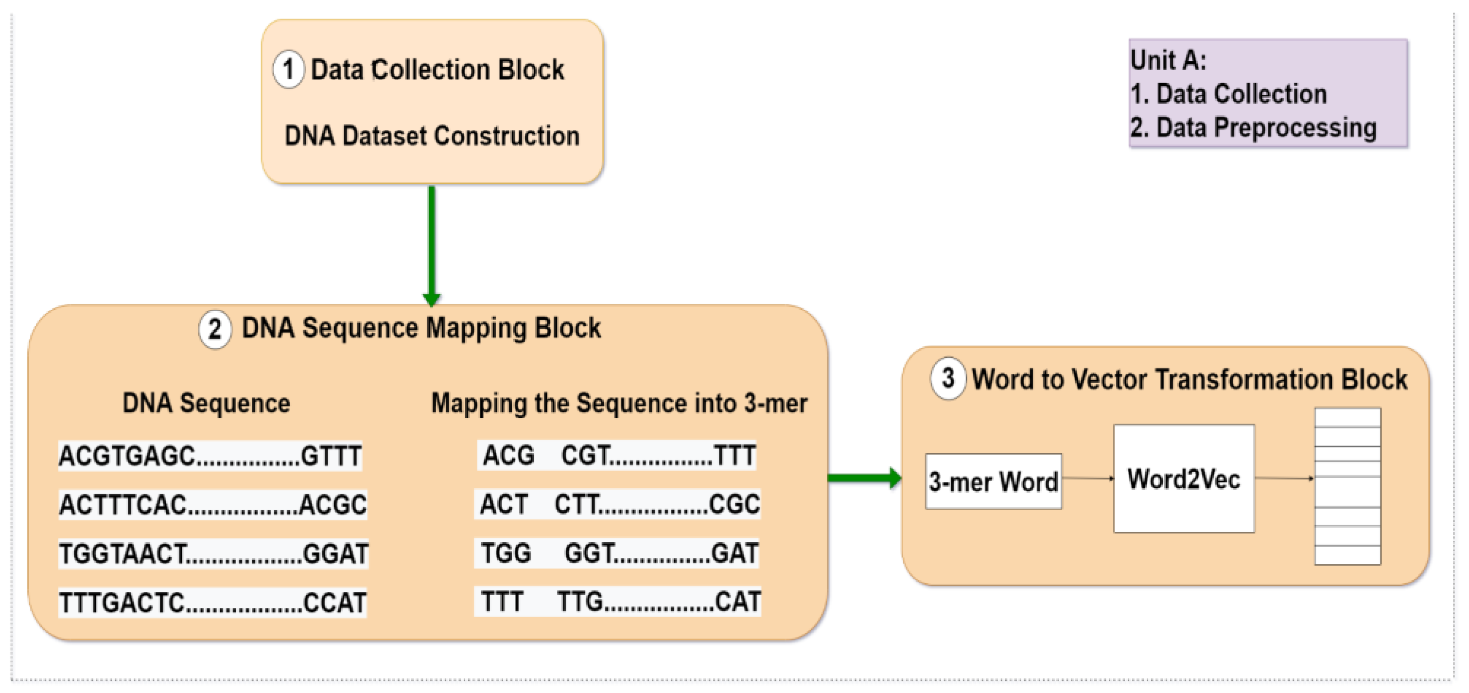 Genes 14 00582 g001a Genes 14 00582 g001a