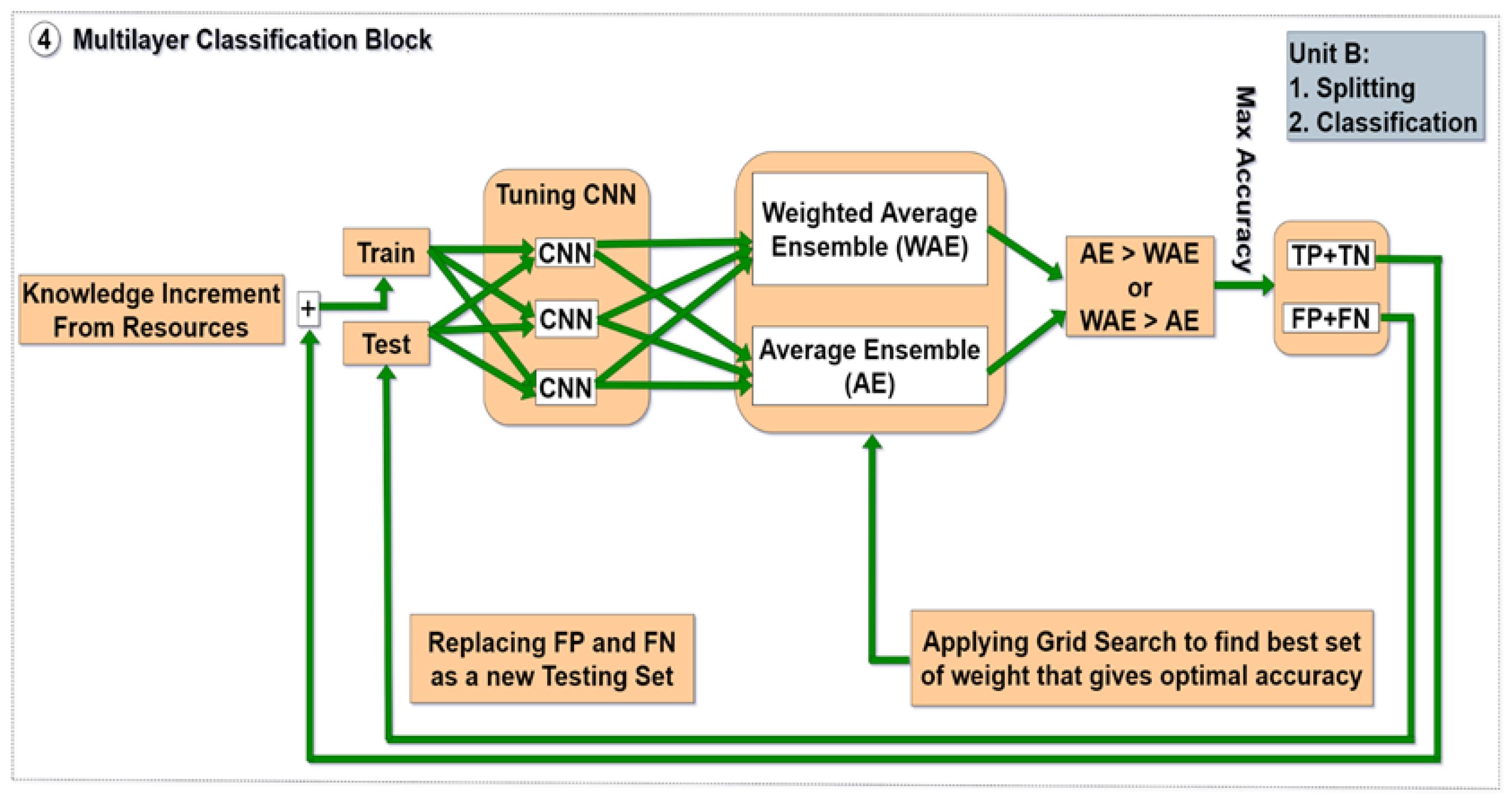 Genes 14 00582 g001b Genes 14 00582 g001b