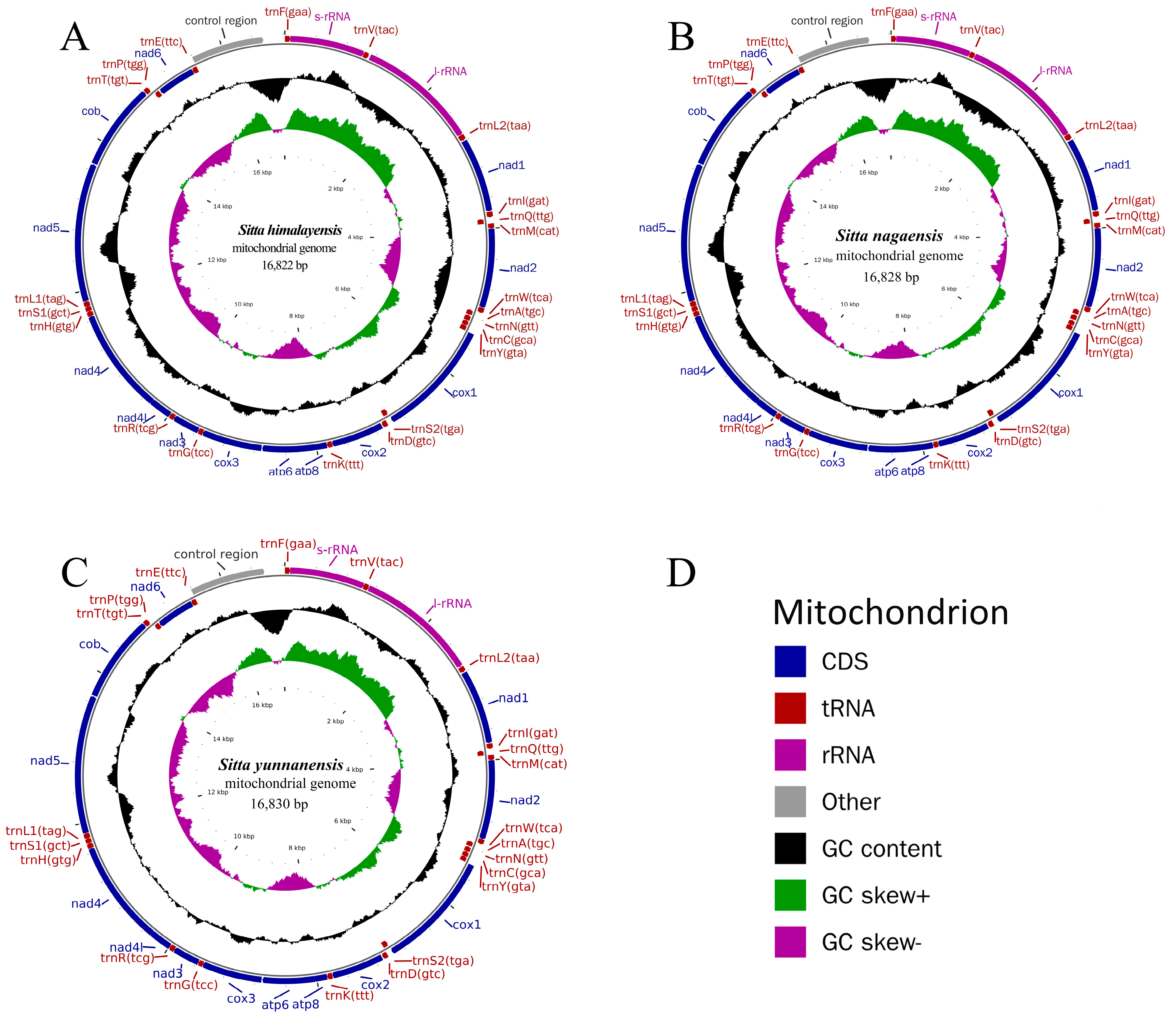 Genes 14 00589 g001