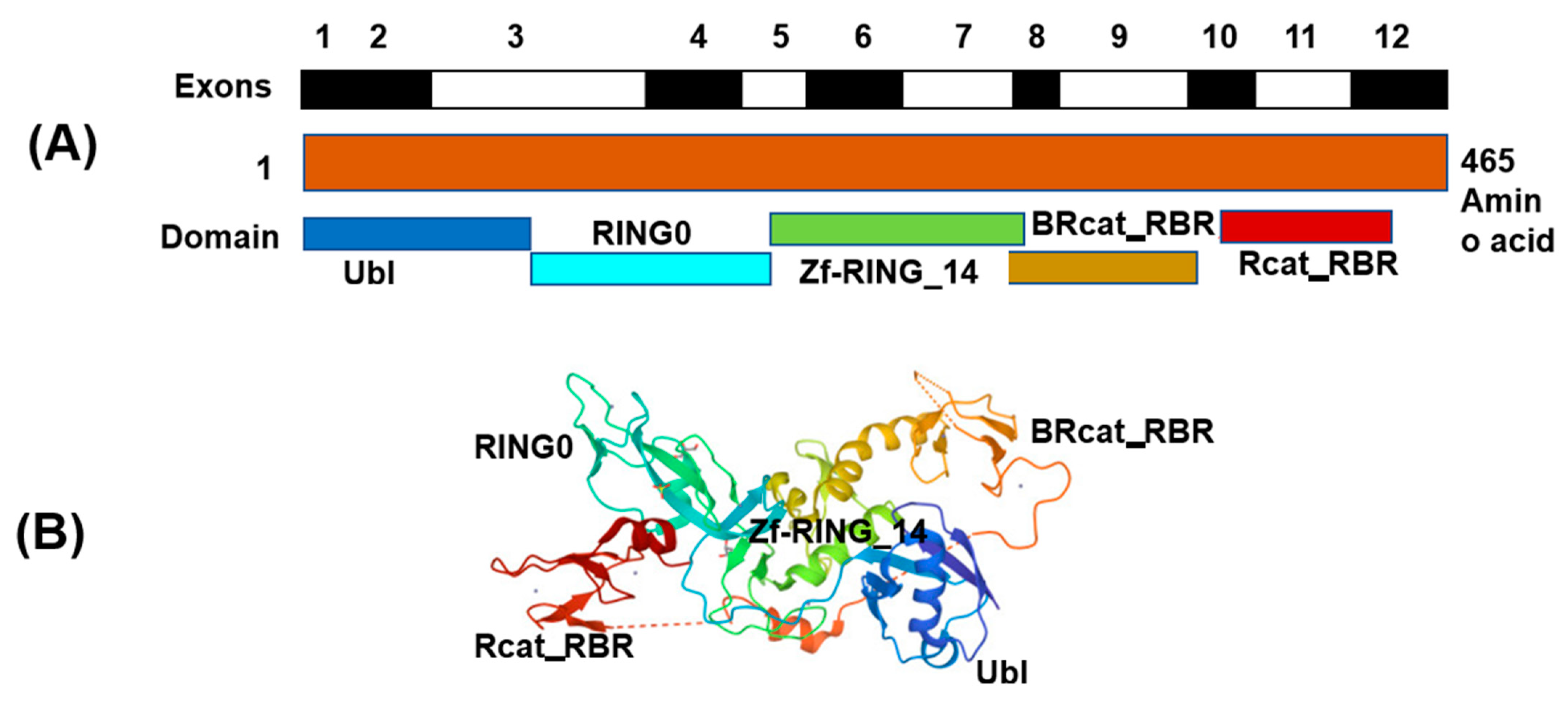 Genes 14 00600 g001 Genes 14 00600 g001