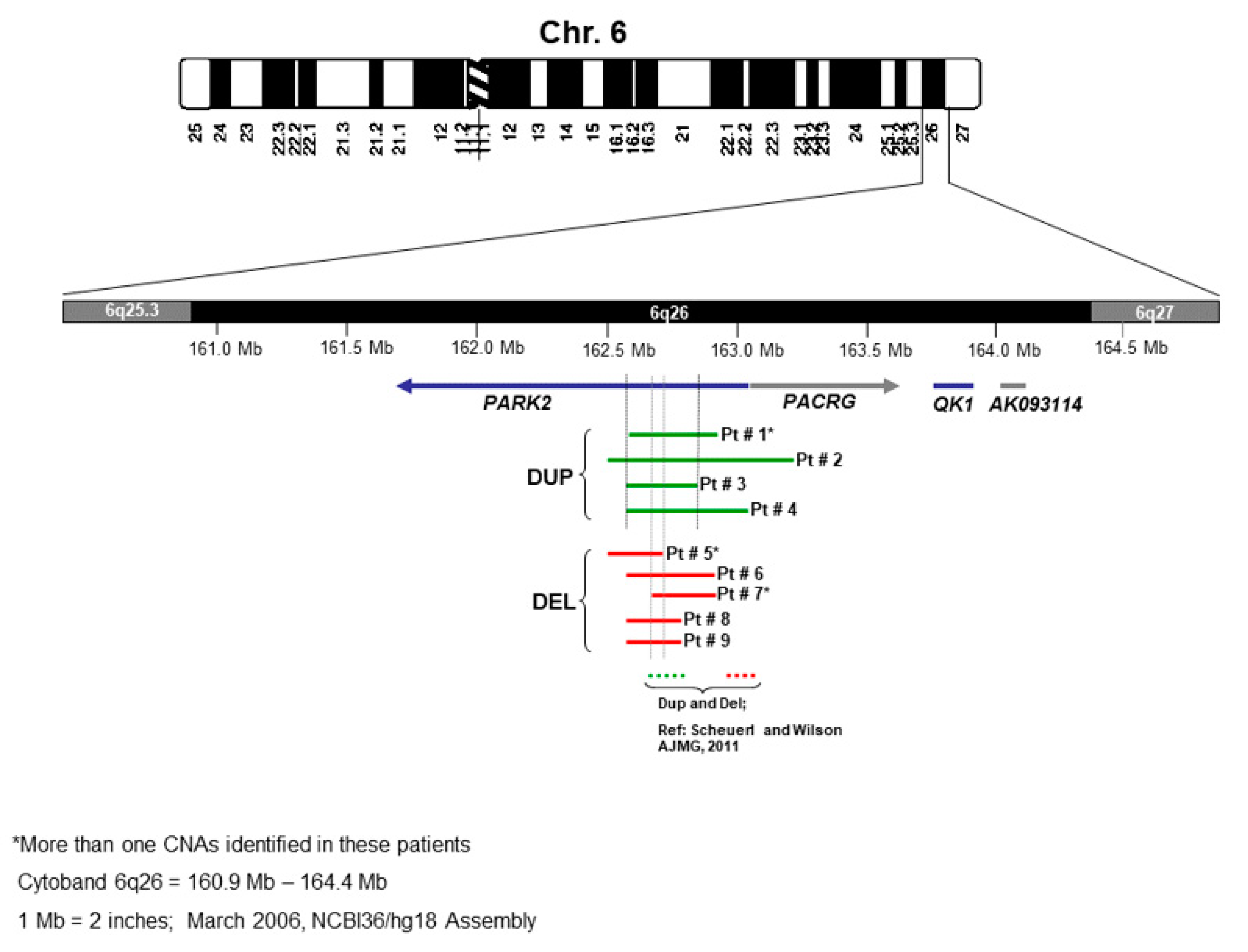 Genes 14 00600 g003 Genes 14 00600 g003