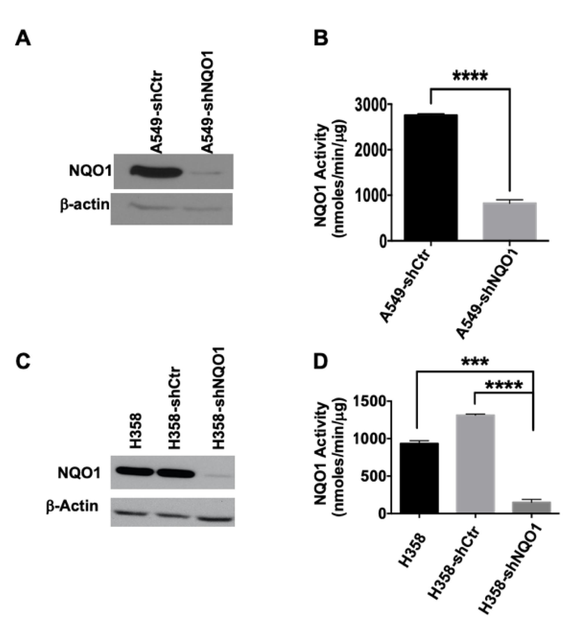 Genes 14 00607 g002