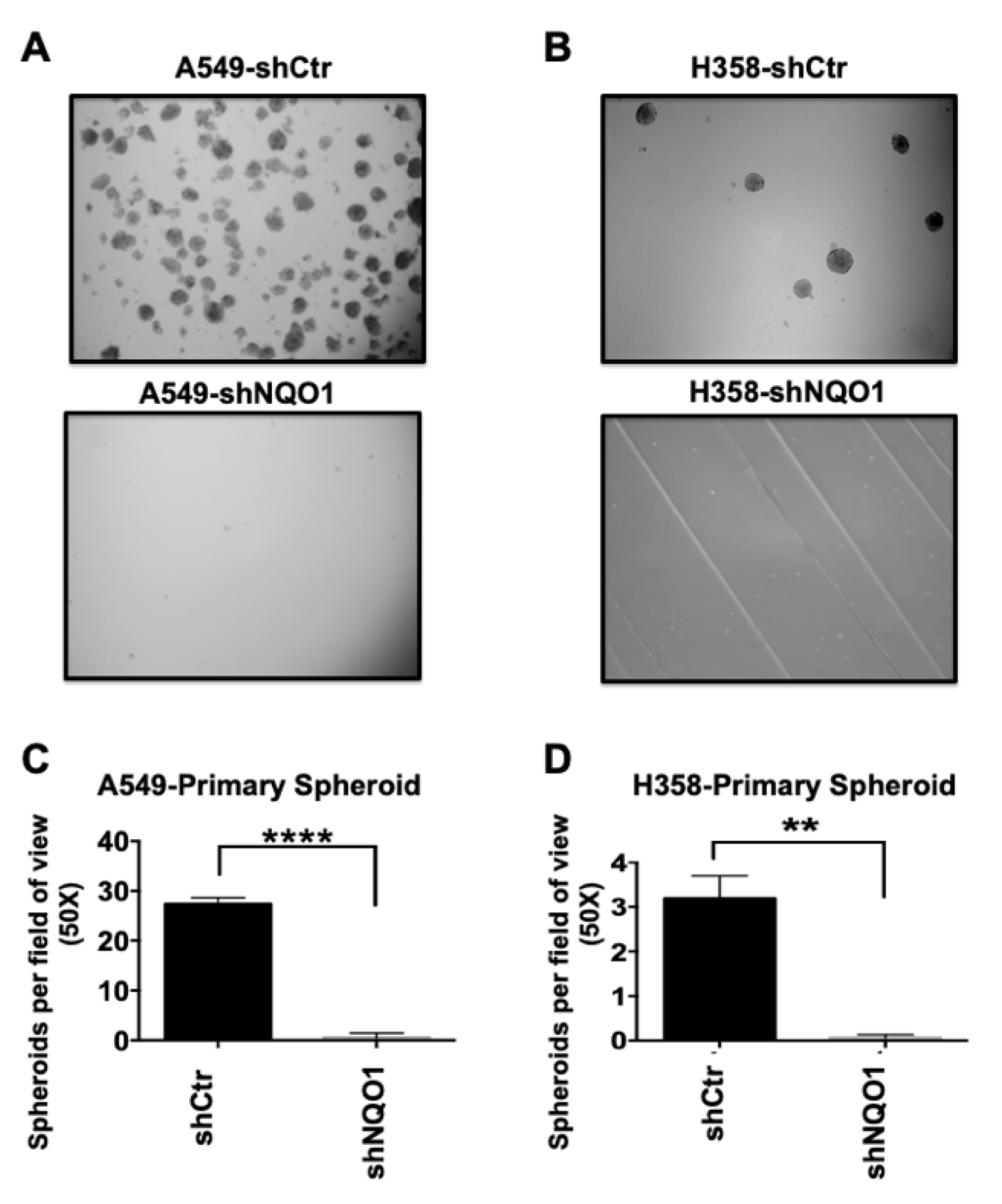 Genes 14 00607 g003