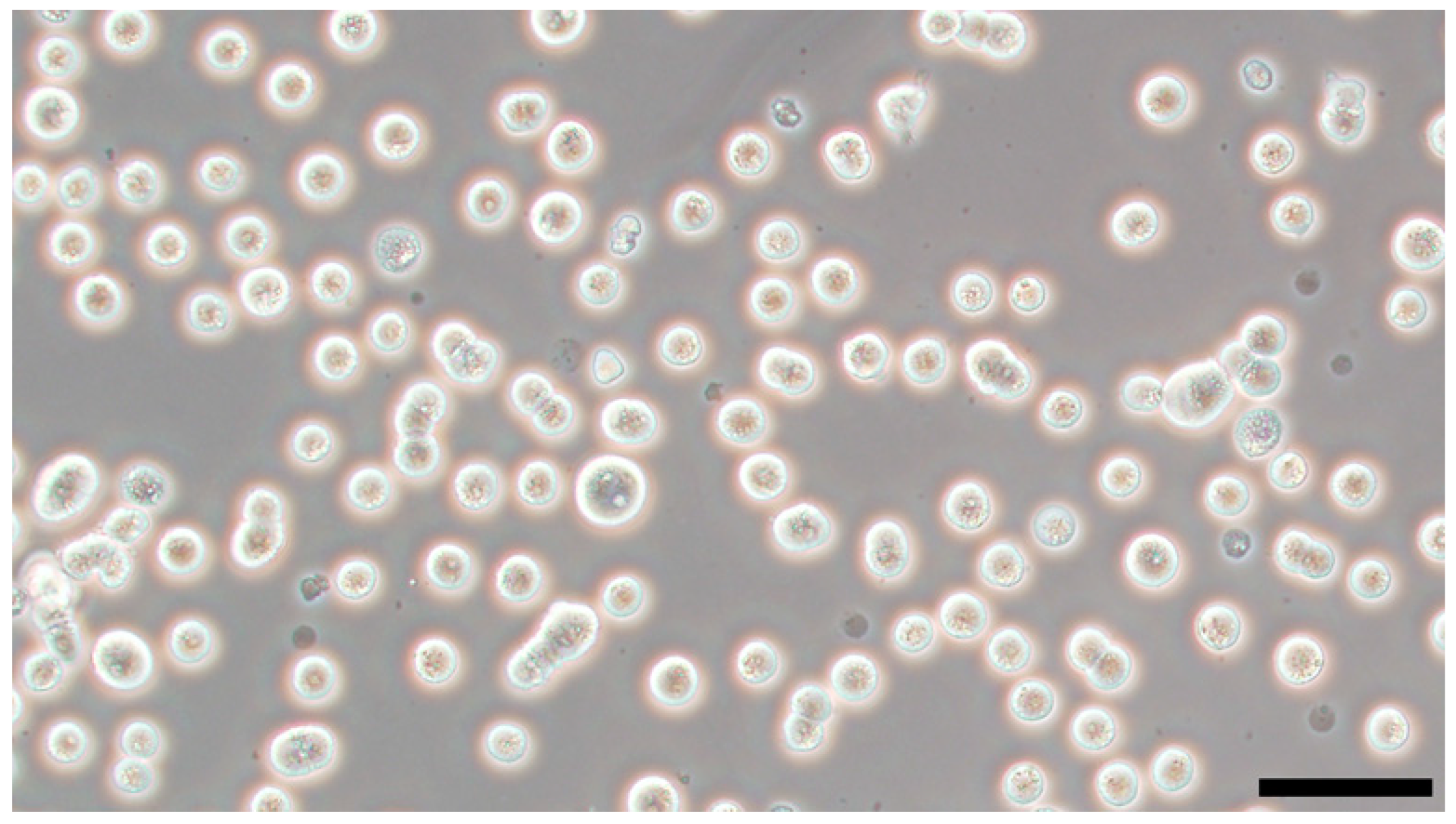 Genes 14 00612 g003 Genes 14 00612 g003