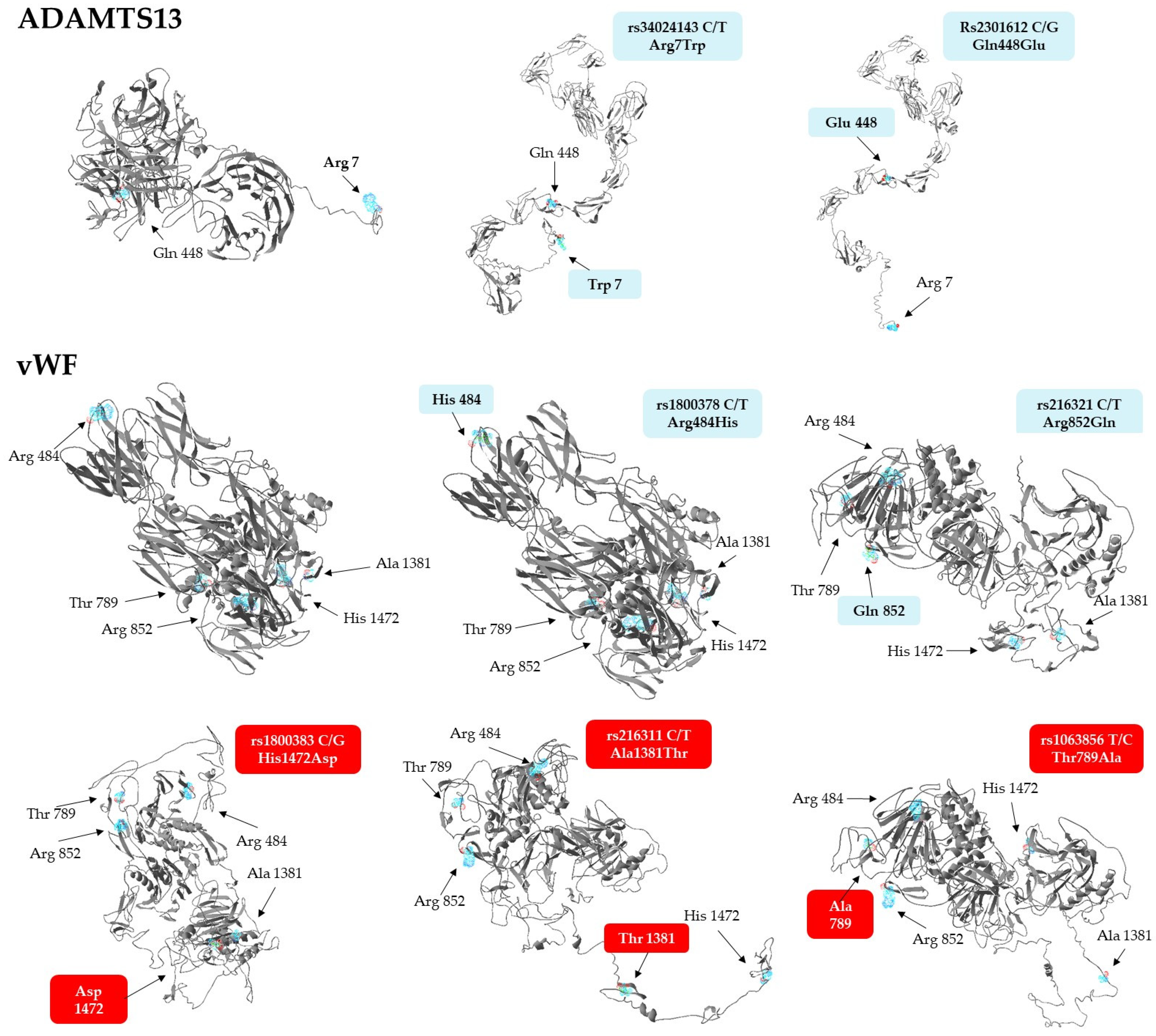 Genes 14 00617 g002 Genes 14 00617 g002
