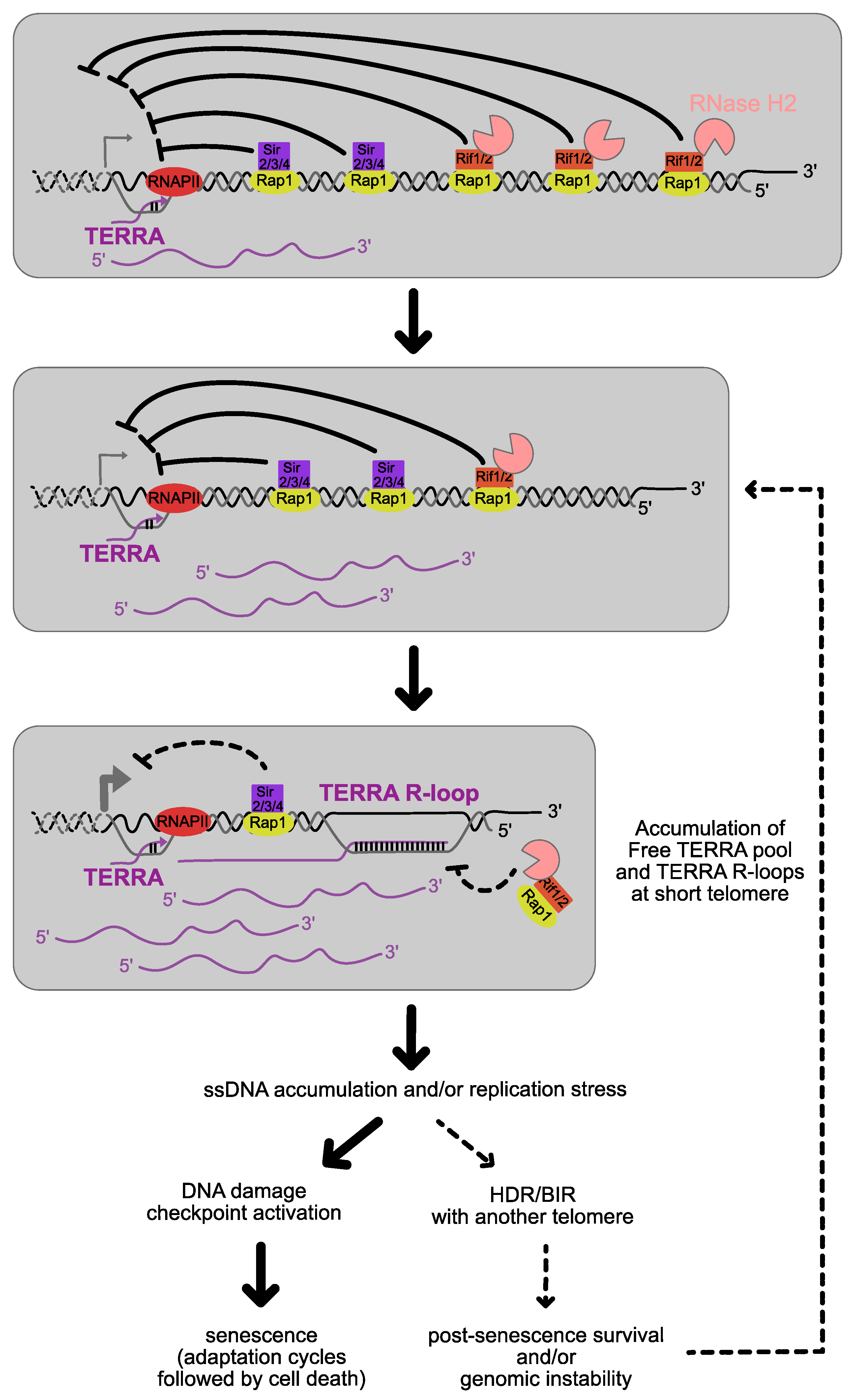 Genes 14 00618 g004 Genes 14 00618 g004