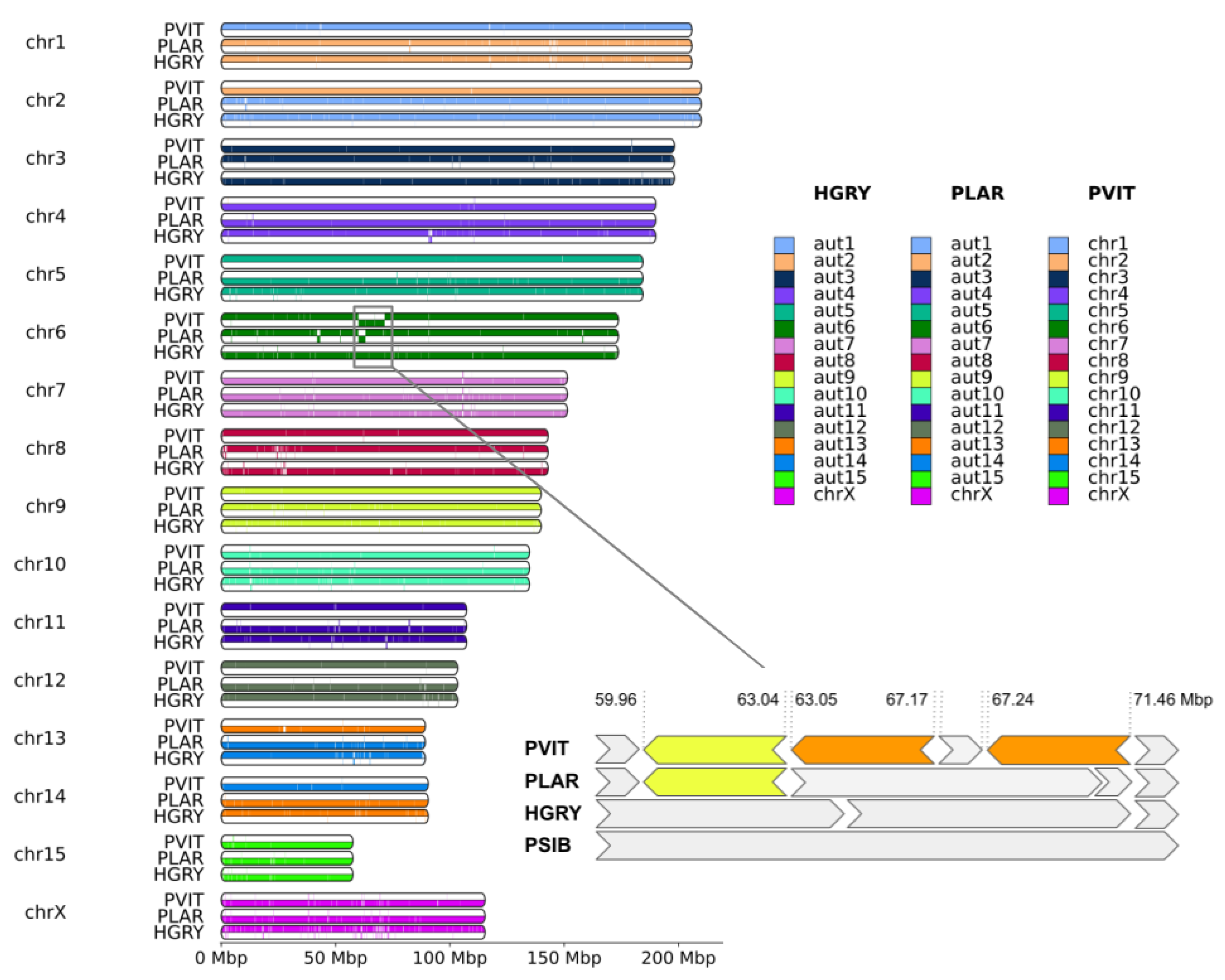 Genes 14 00619 g002