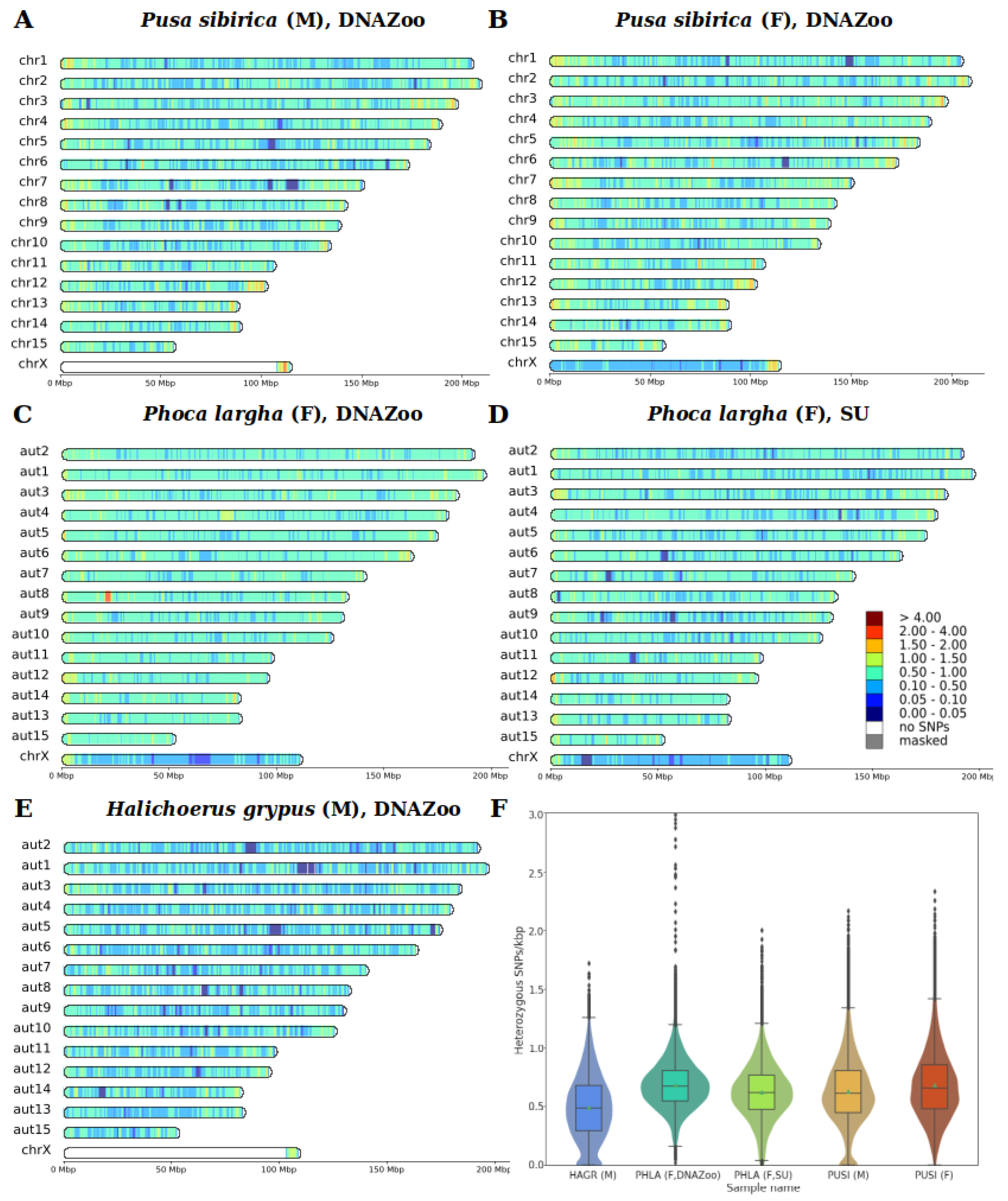Genes 14 00619 g003
