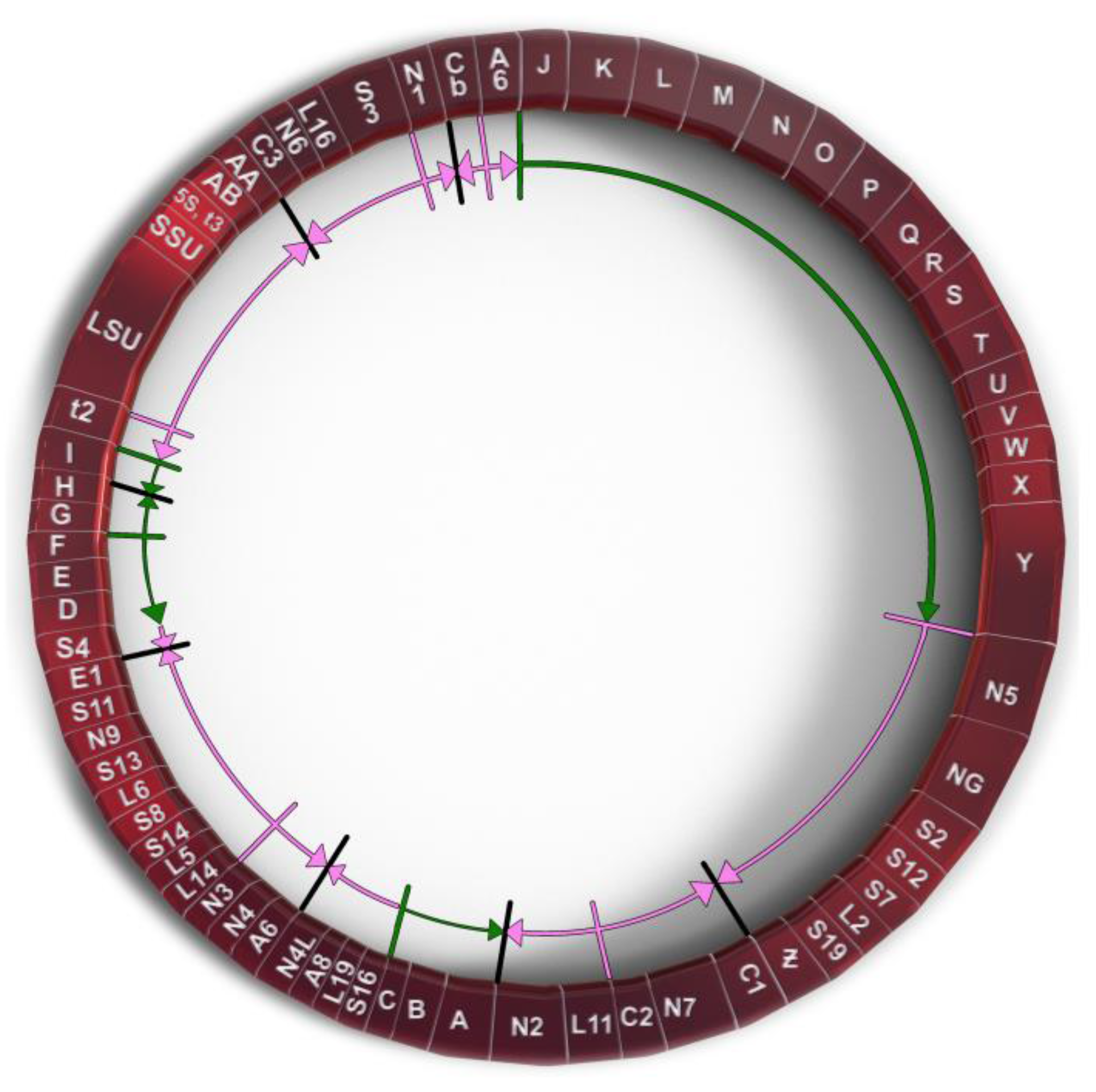 Genes 14 00628 g001 Genes 14 00628 g001